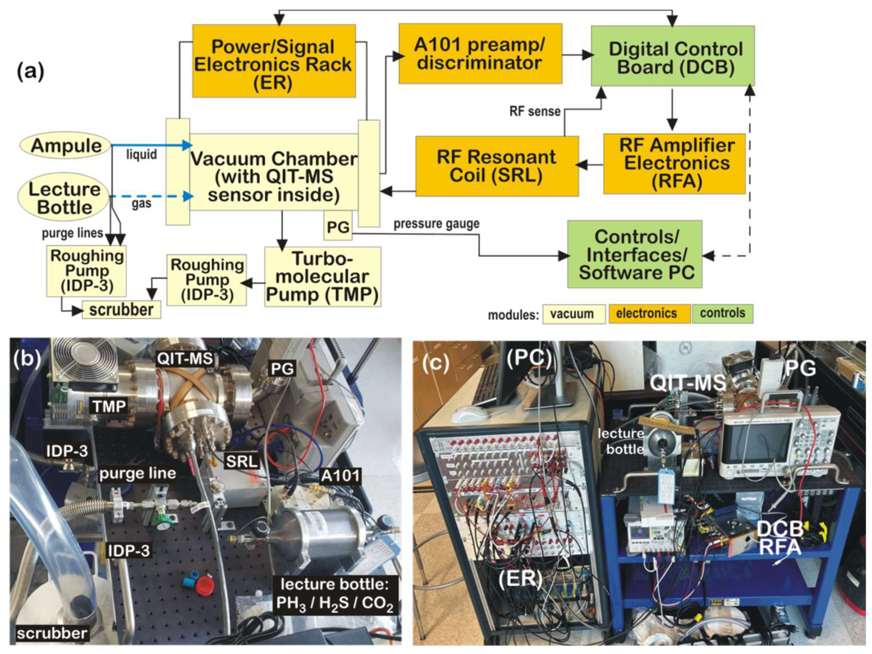 Biophysica 05 00017 g005