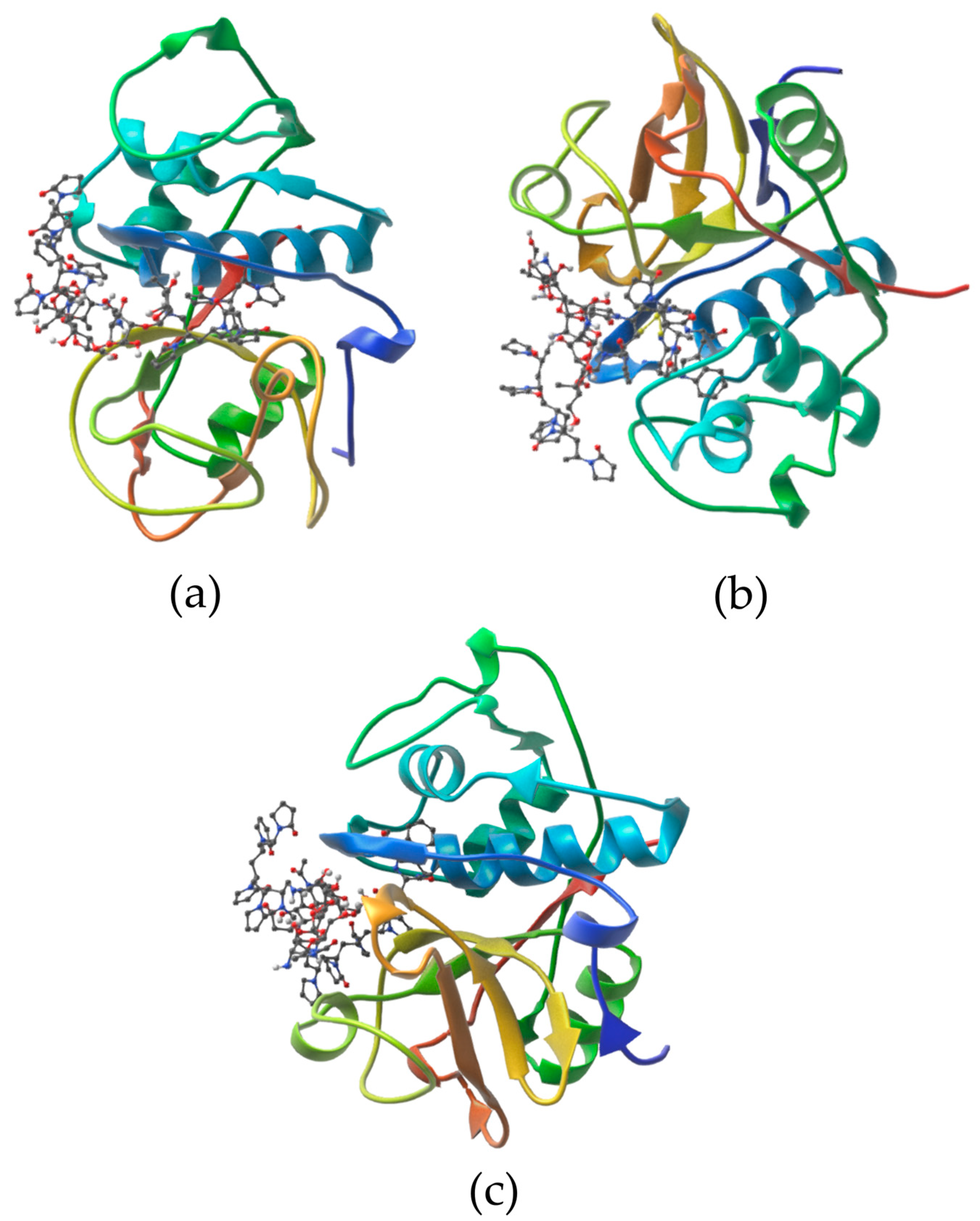 Biophysica 05 00018 g001