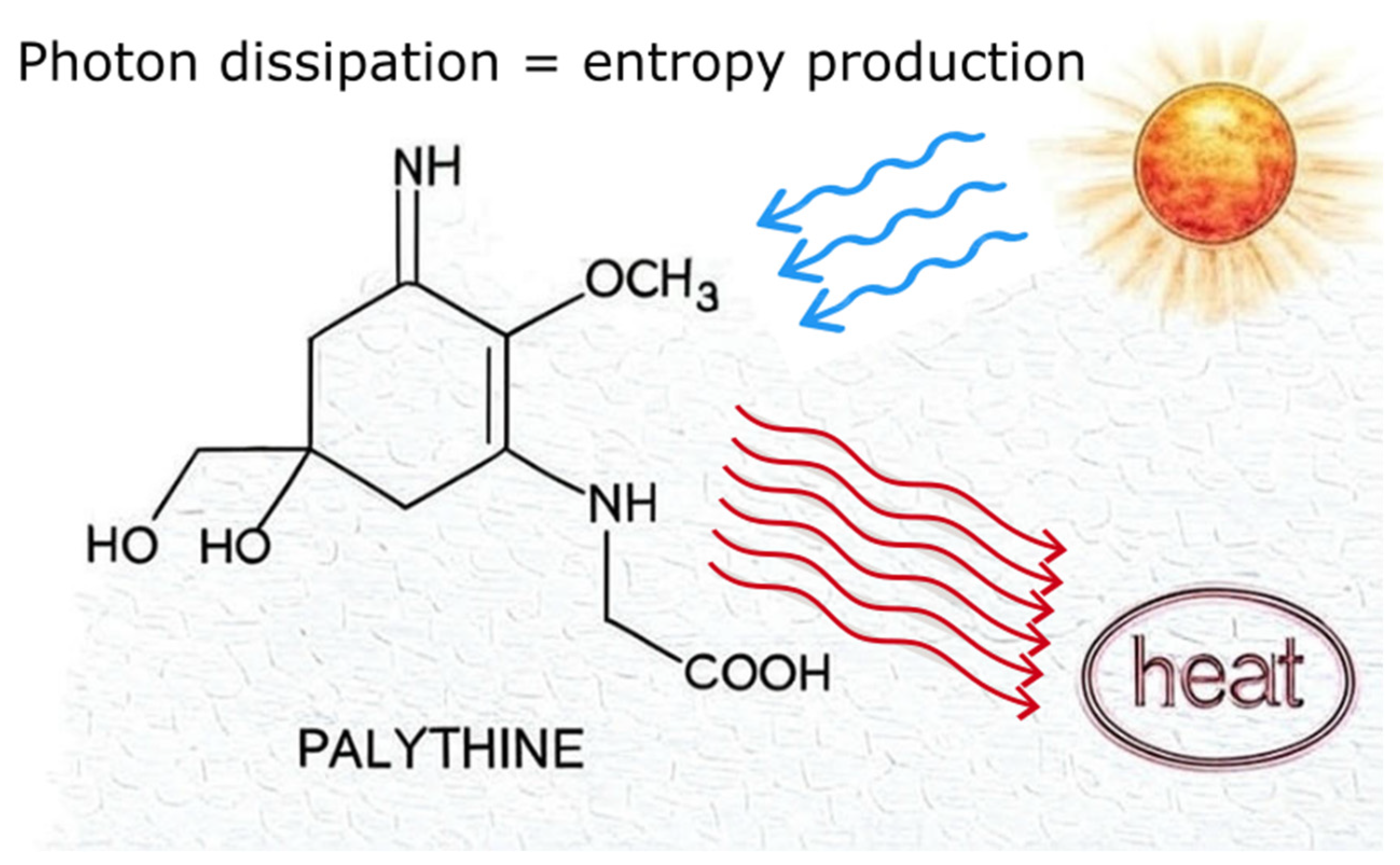 Biophysica 05 00023 g003
