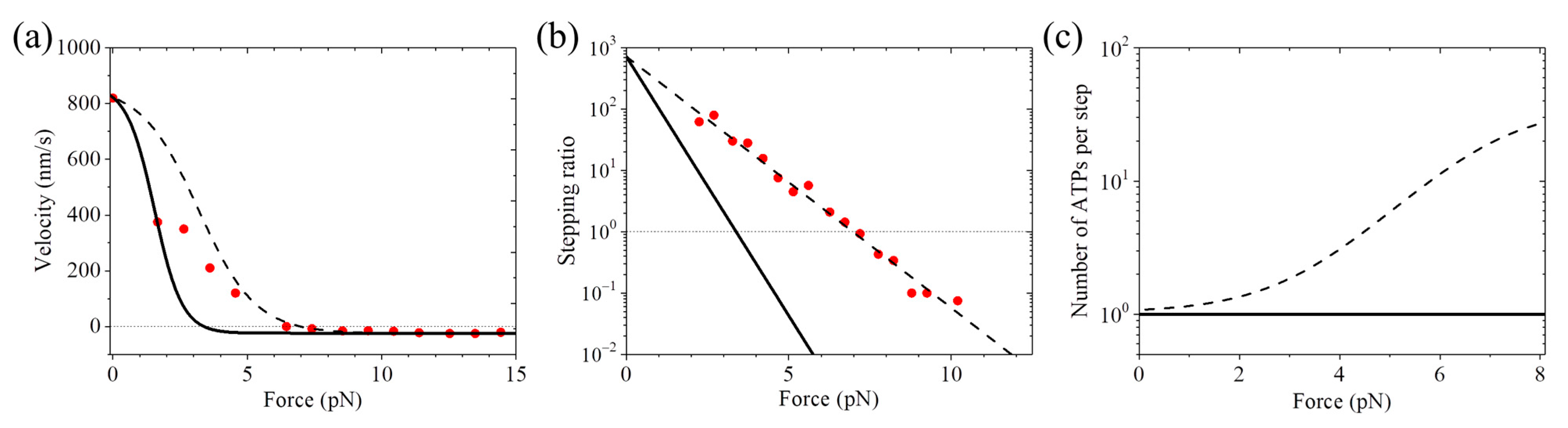 Biophysica 05 00026 g002 Biophysica 05 00026 g002