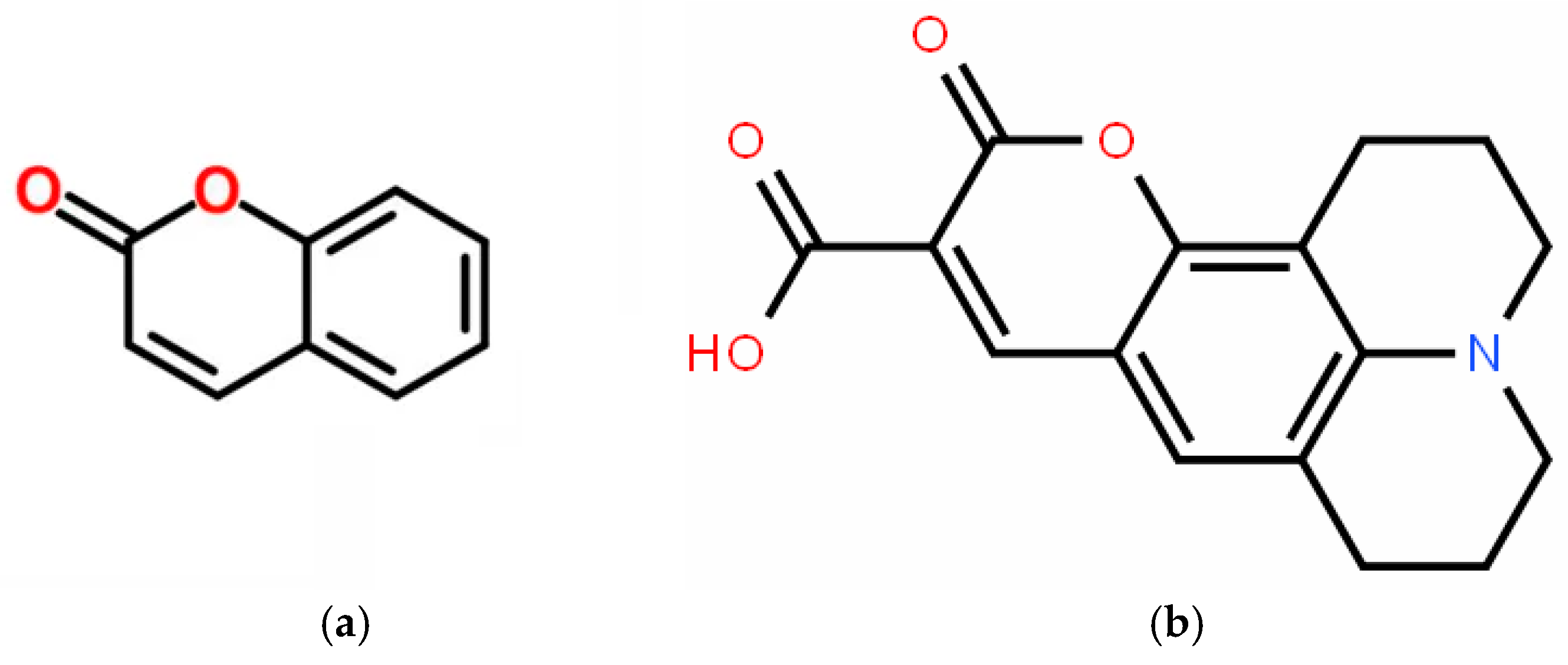 Biophysica 05 00027 g002