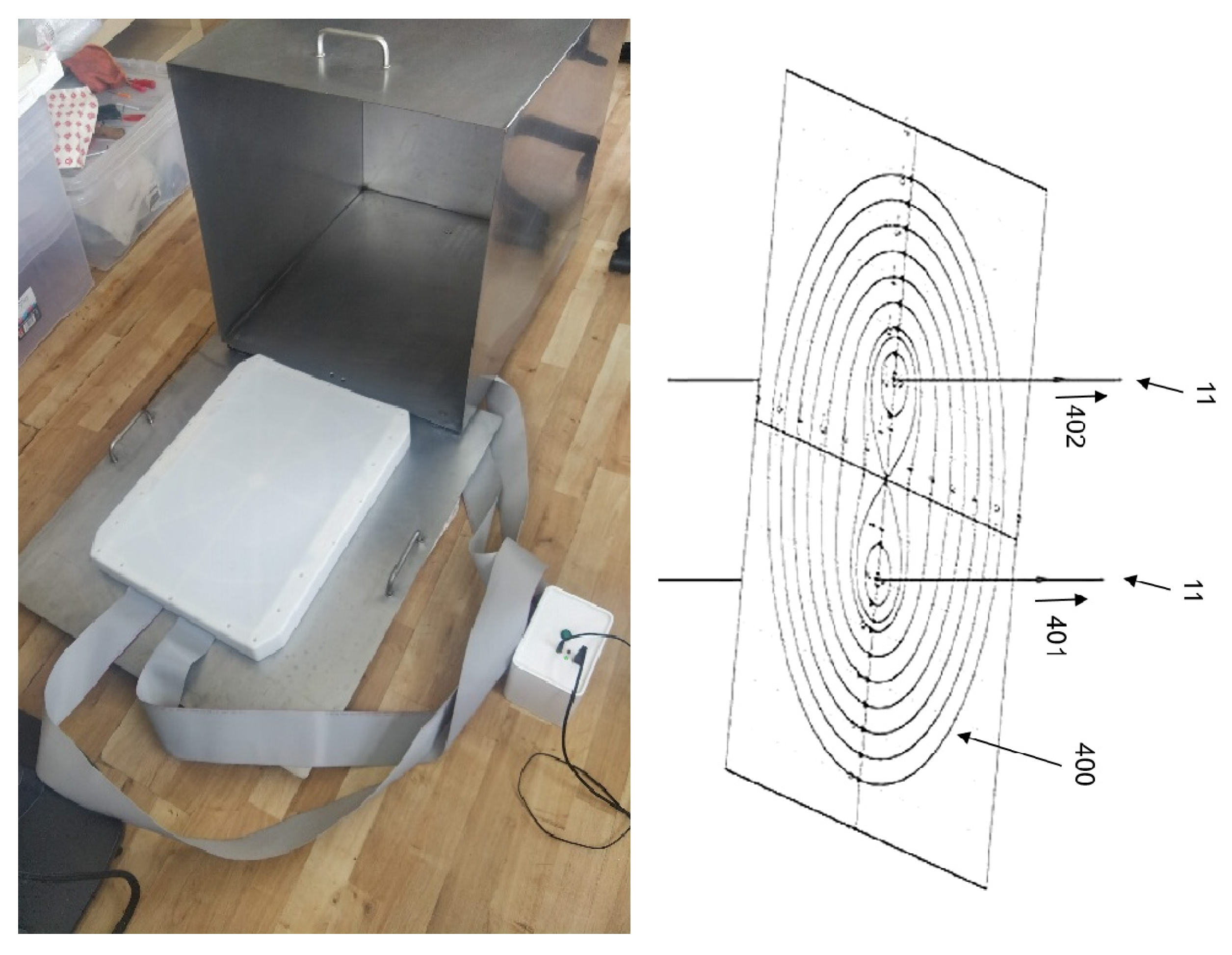 Biophysica 05 00029 g002