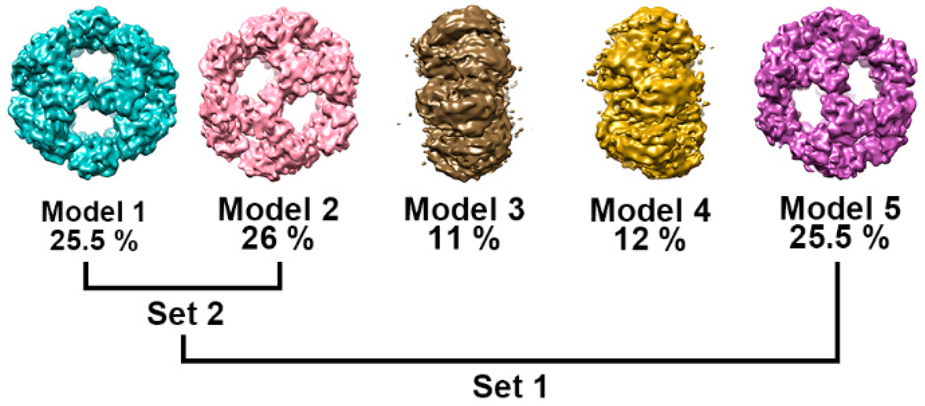 Biophysica 05 00030 g002