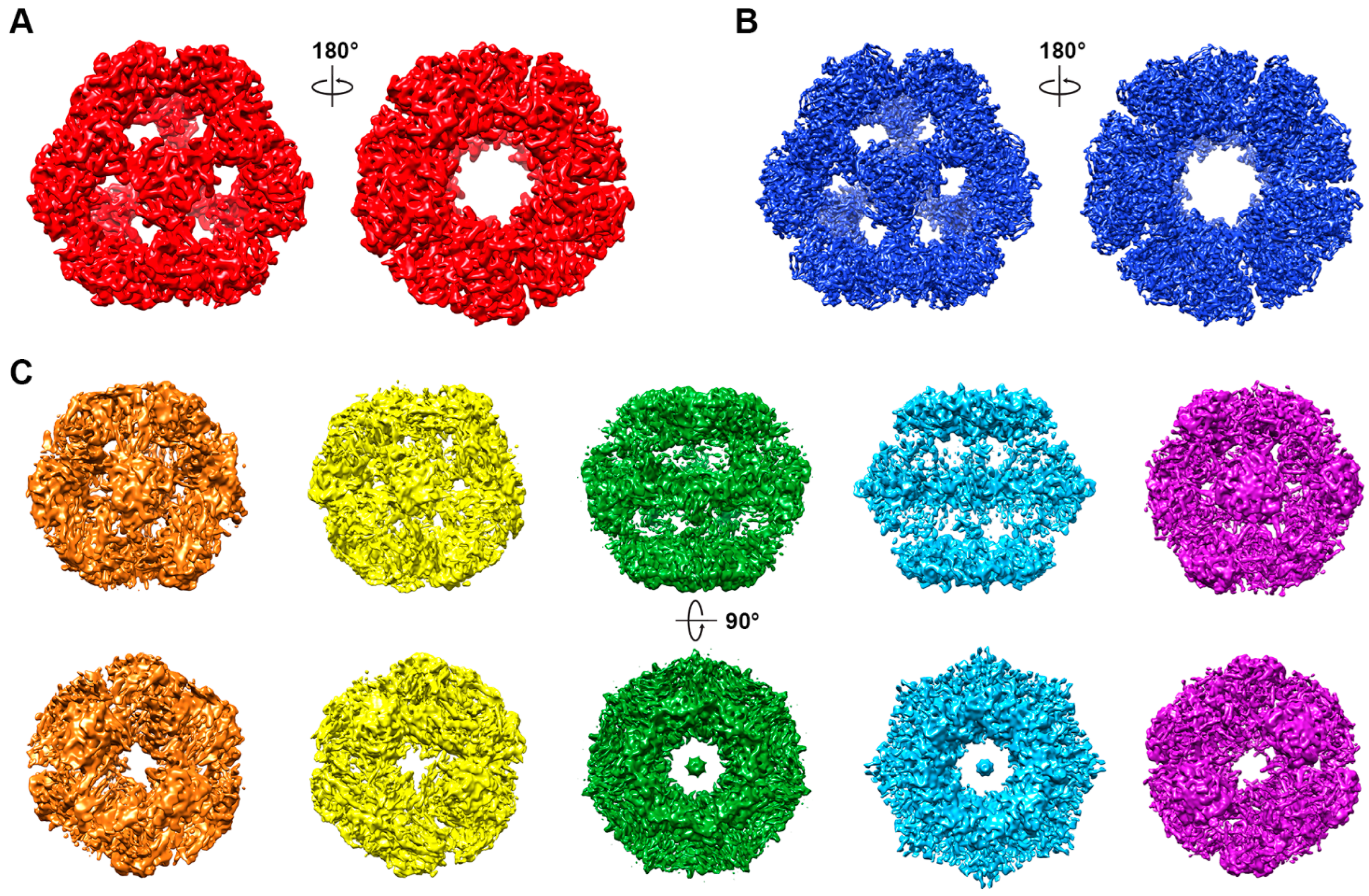 Biophysica 05 00030 g003