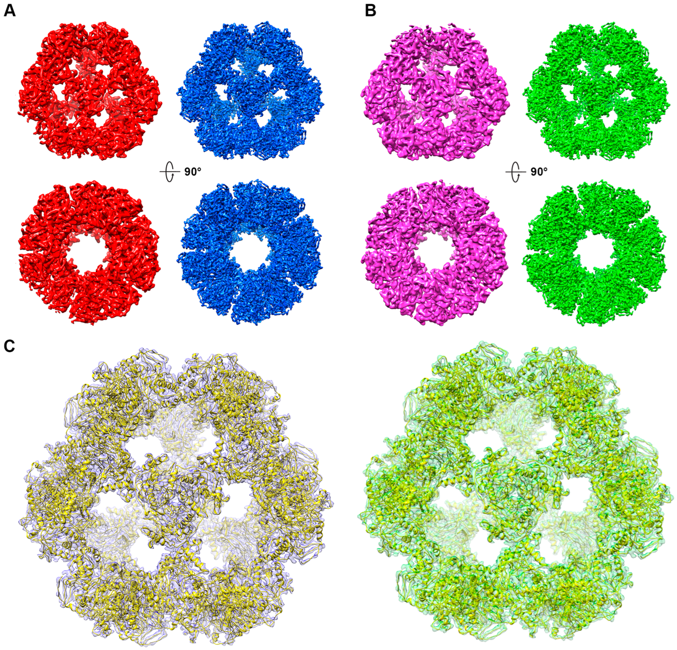 Biophysica 05 00030 g006