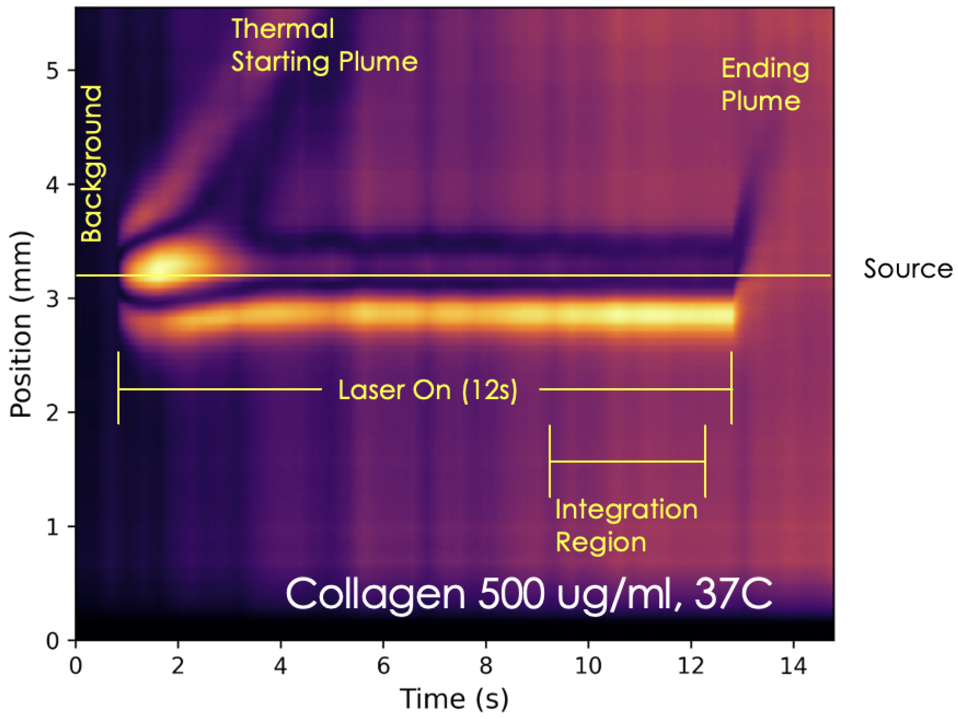 Biophysica 05 00031 g002