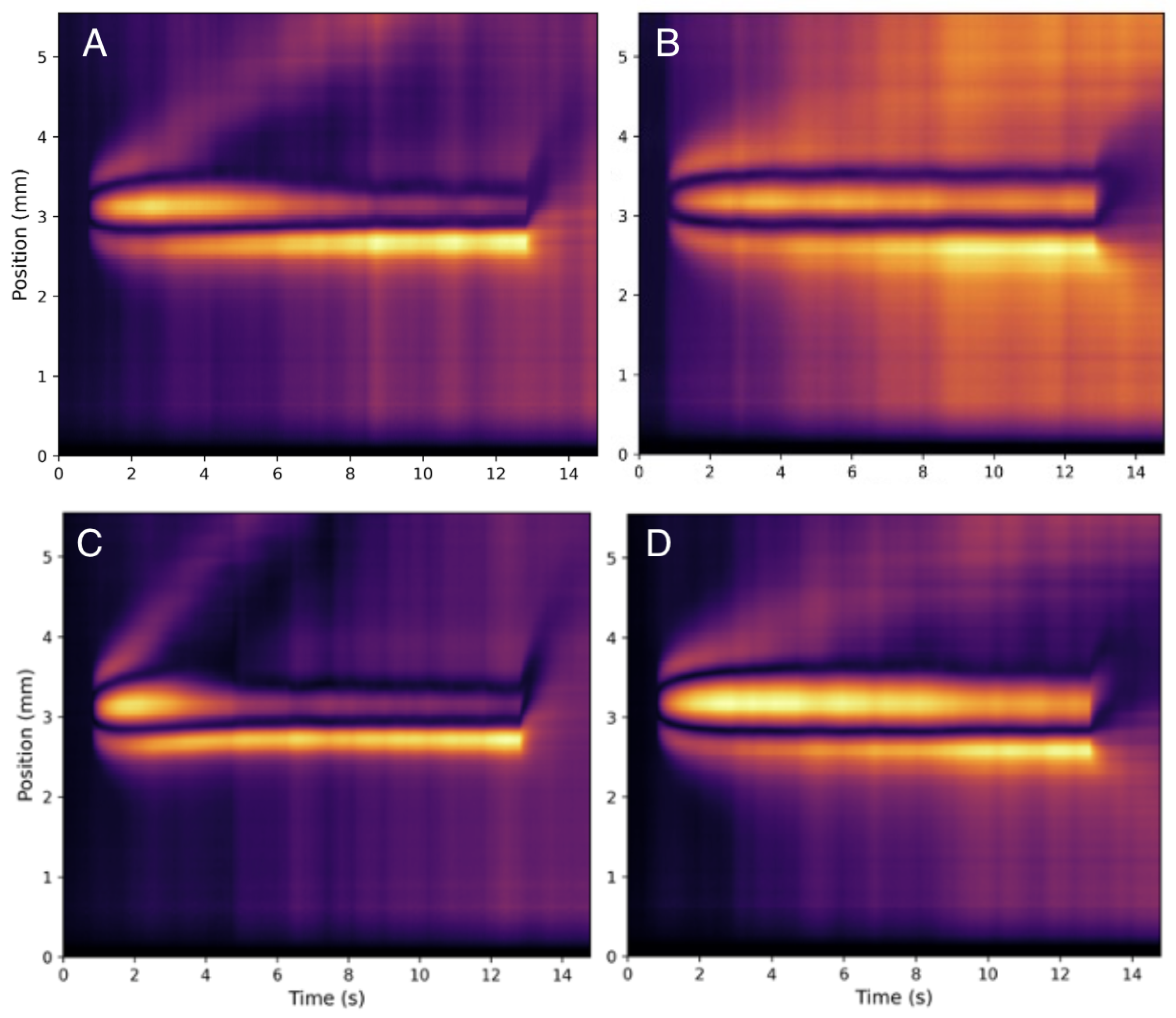 Biophysica 05 00031 g005
