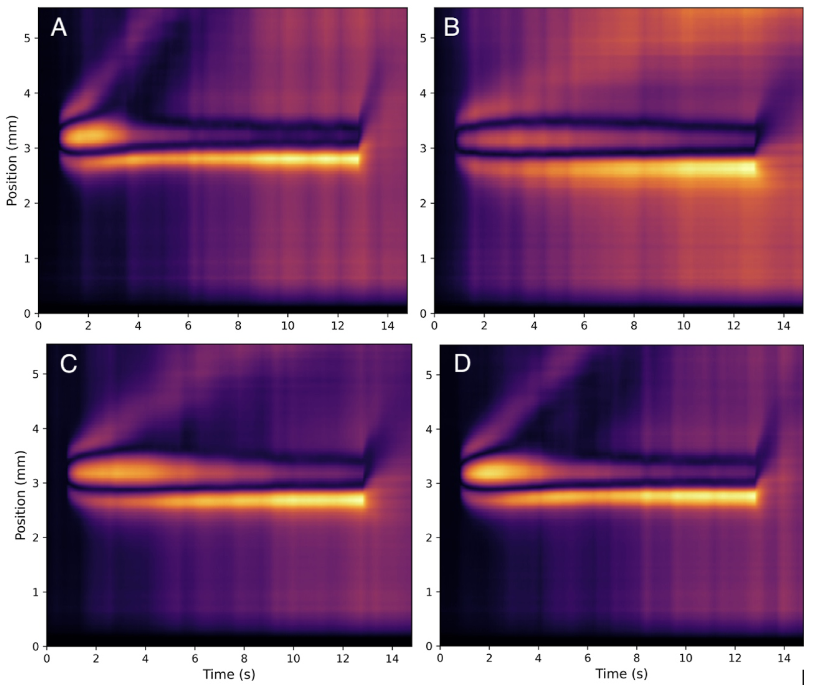 Biophysica 05 00031 g007