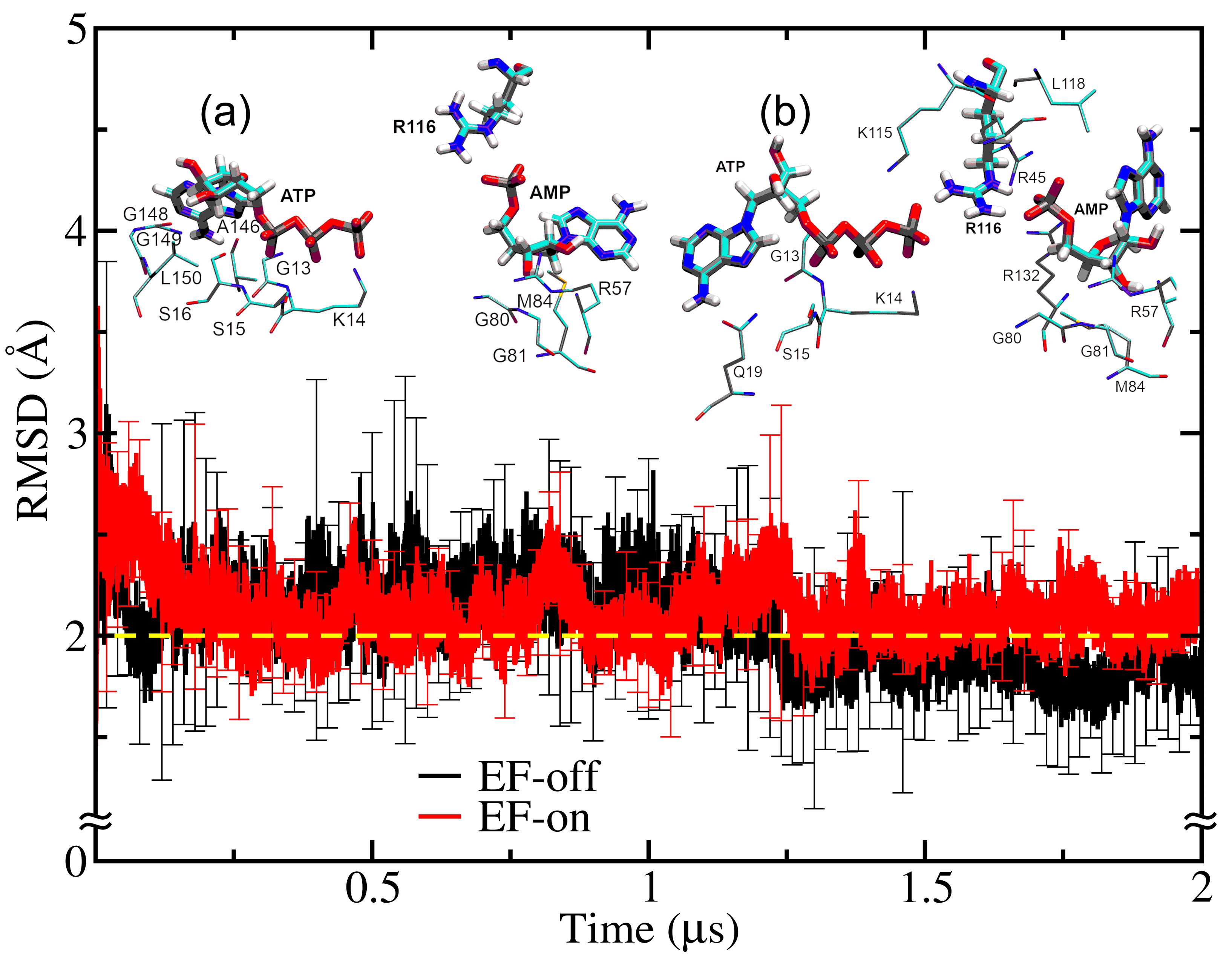 Biophysica 05 00033 g001