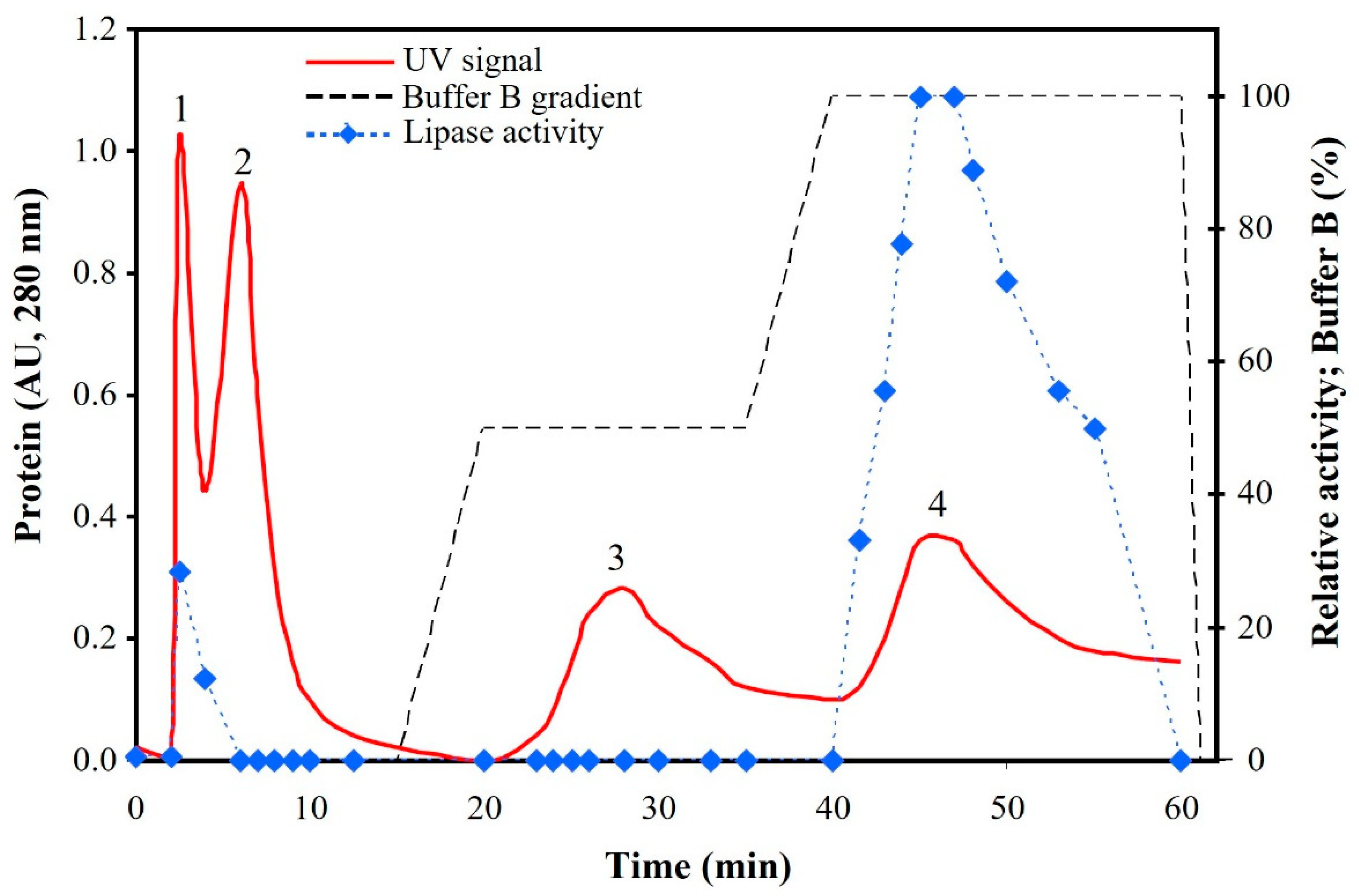 Biophysica 05 00035 g001 Biophysica 05 00035 g001