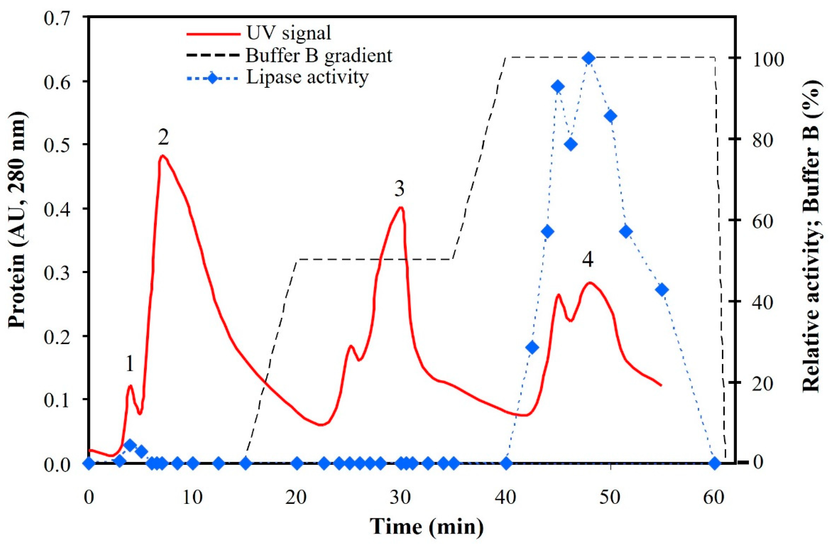 Biophysica 05 00035 g002 Biophysica 05 00035 g002