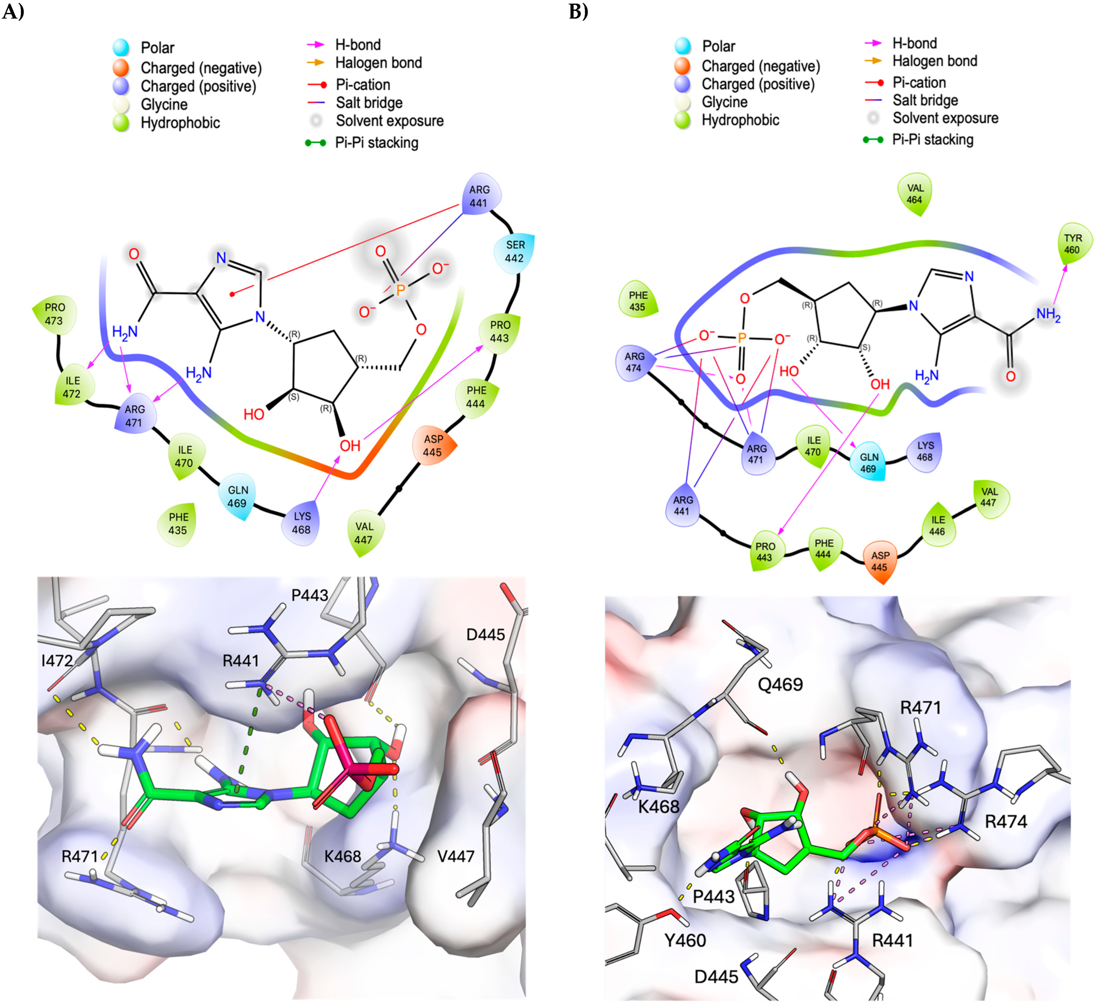 Biophysica 05 00036 g003a Biophysica 05 00036 g003a