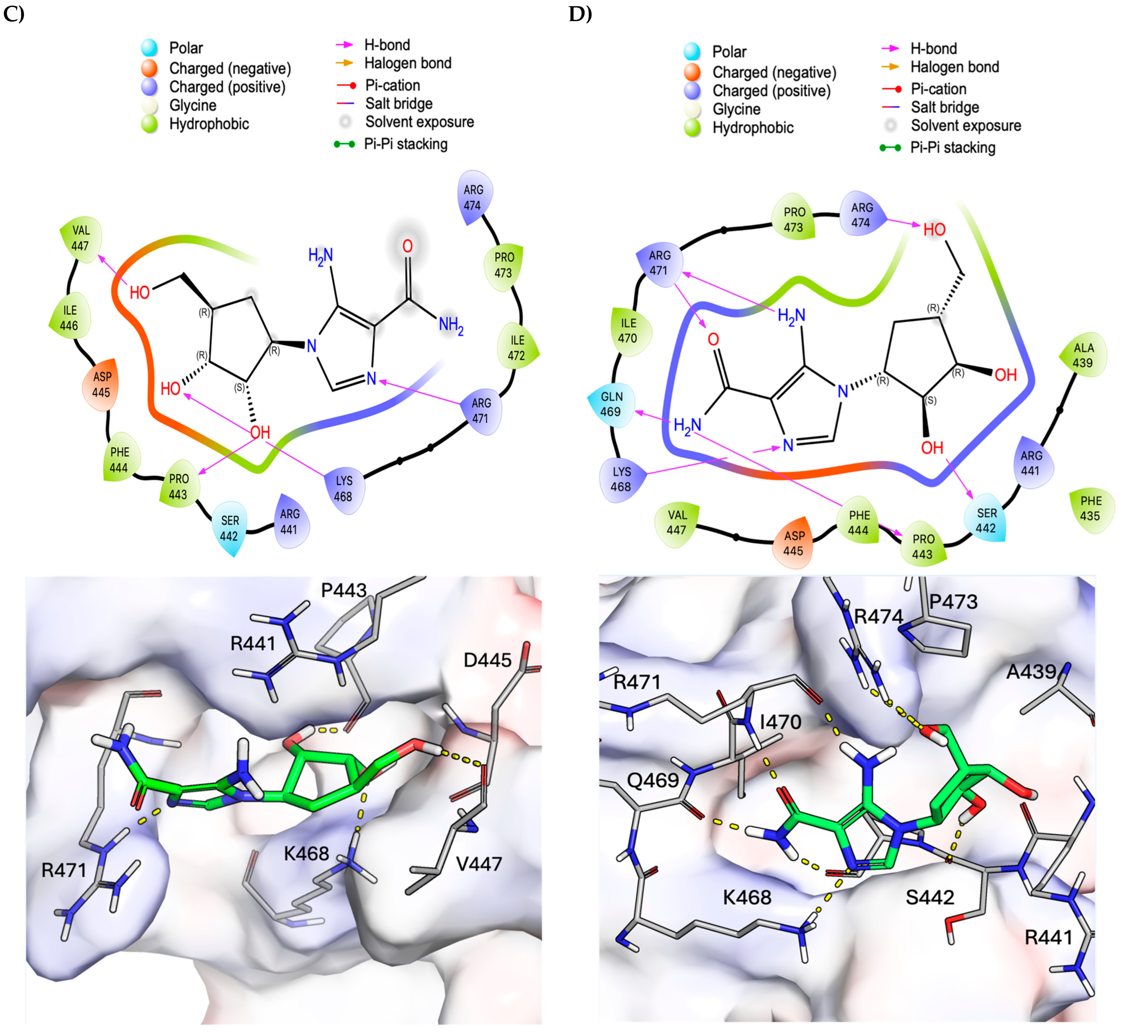 Biophysica 05 00036 g003b Biophysica 05 00036 g003b