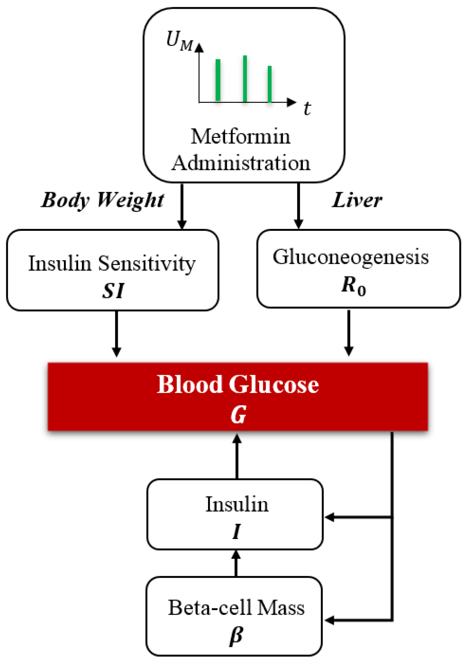 Biophysica 05 00037 g001