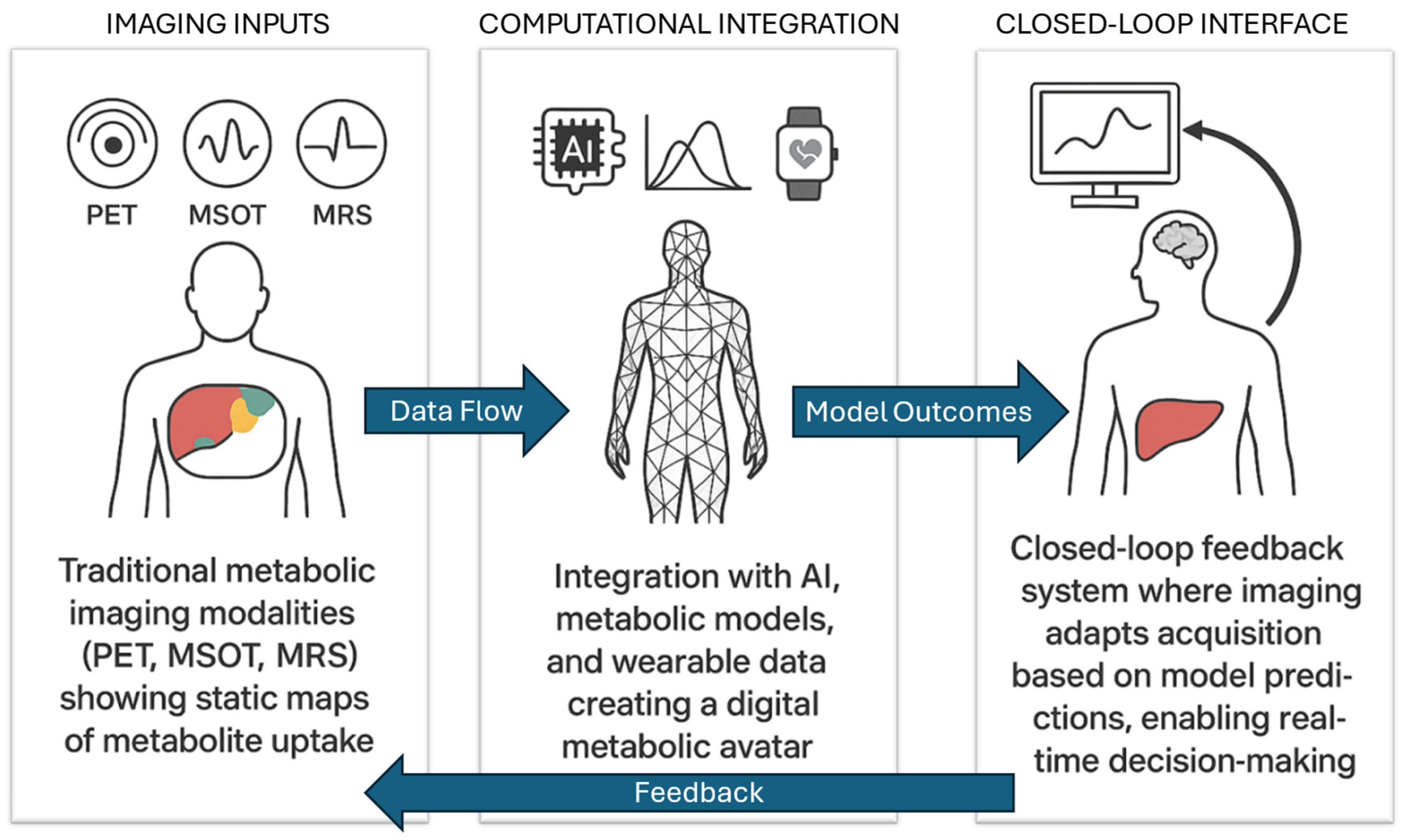 Biophysica 05 00042 g001