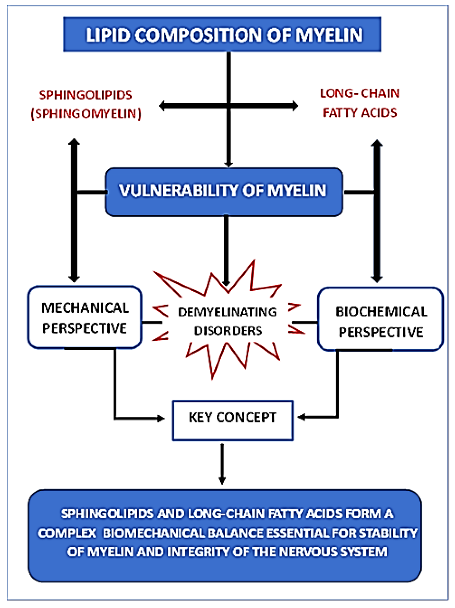 Biophysica 05 00044 g003 Biophysica 05 00044 g003