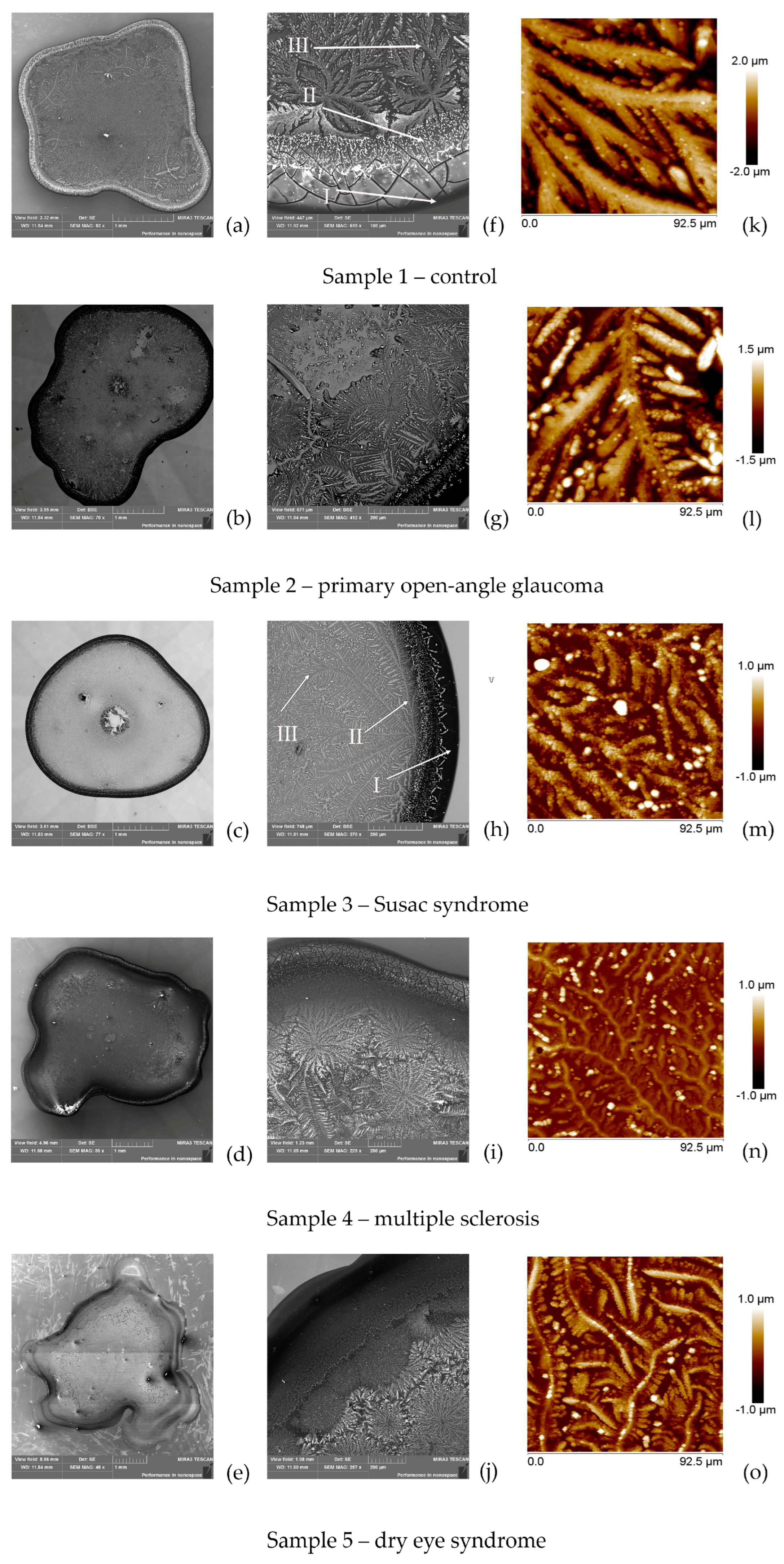 Biophysica 05 00048 g001 Biophysica 05 00048 g001