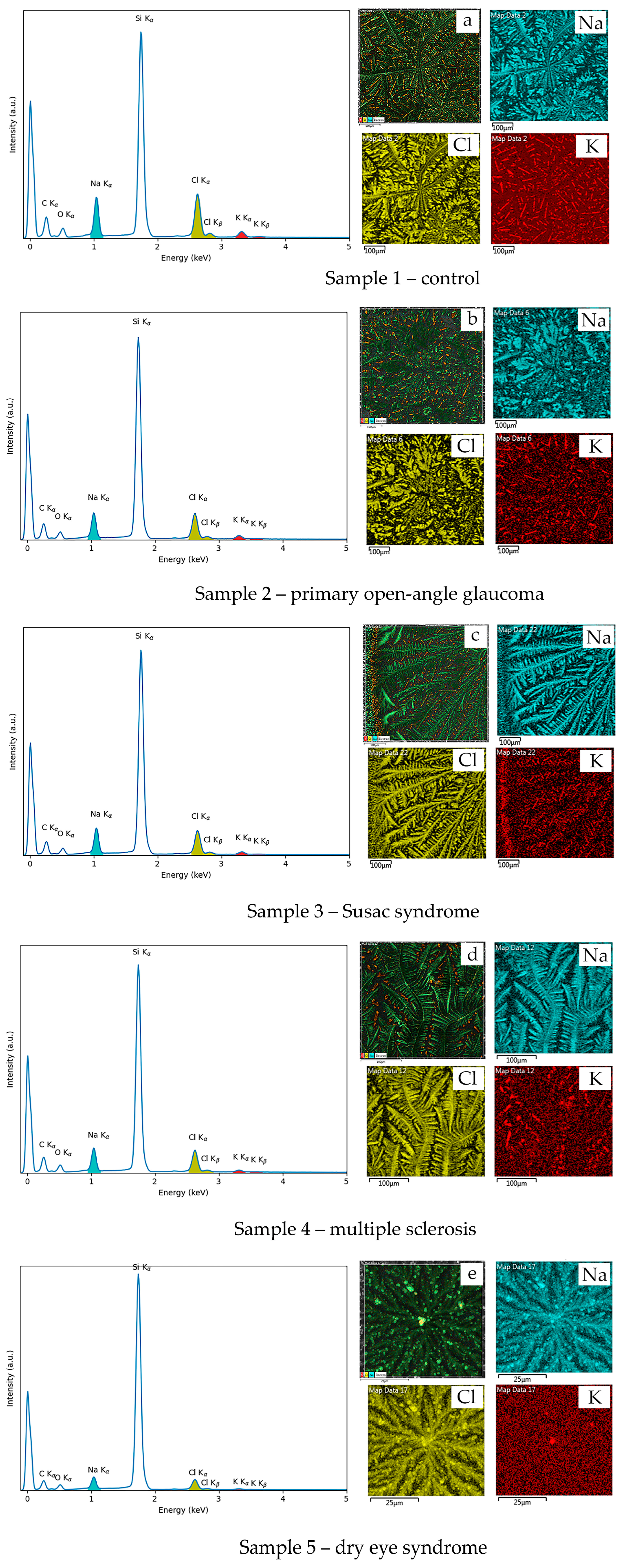 Biophysica 05 00048 g002 Biophysica 05 00048 g002