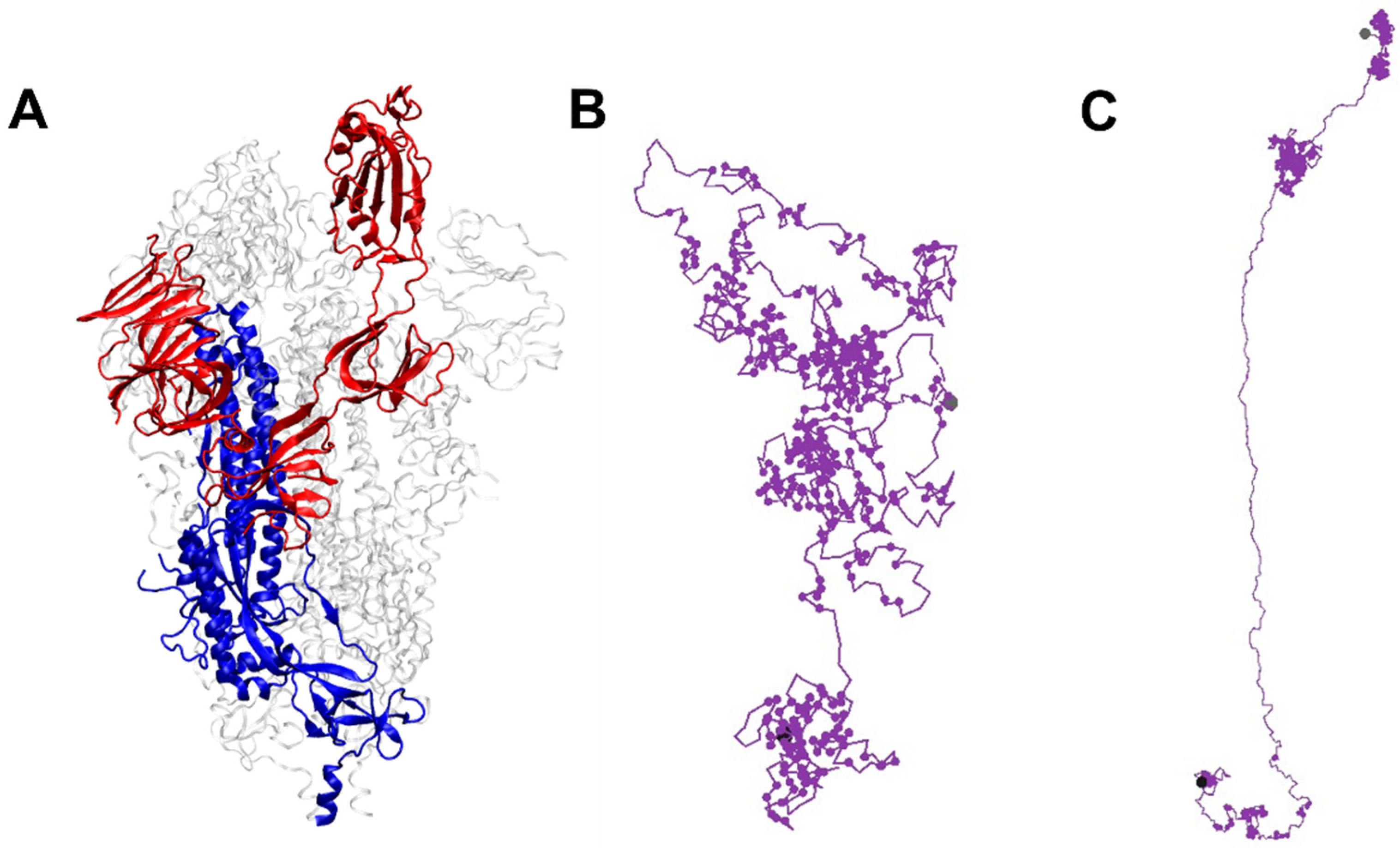 Biophysica 05 00050 g001