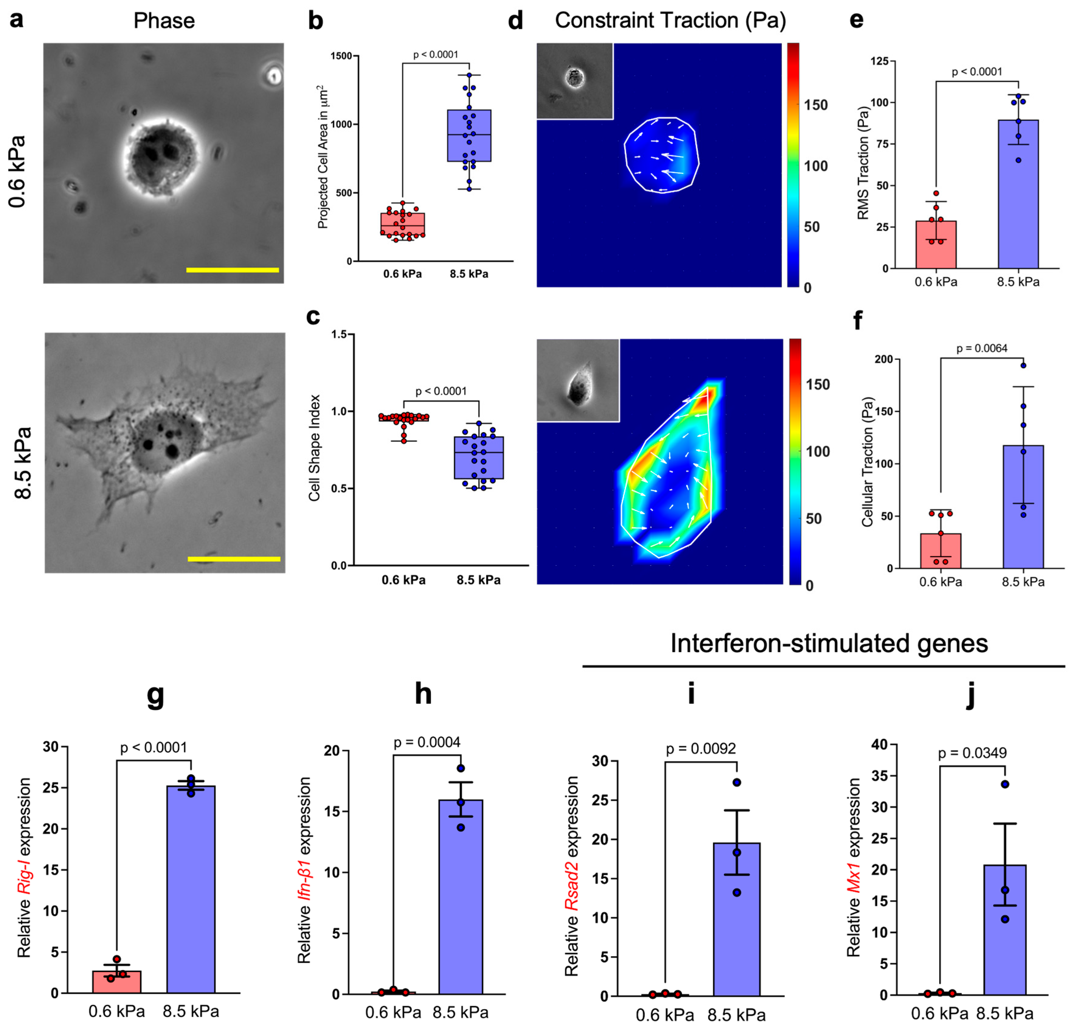 Biophysica 05 00051 g001 Biophysica 05 00051 g001