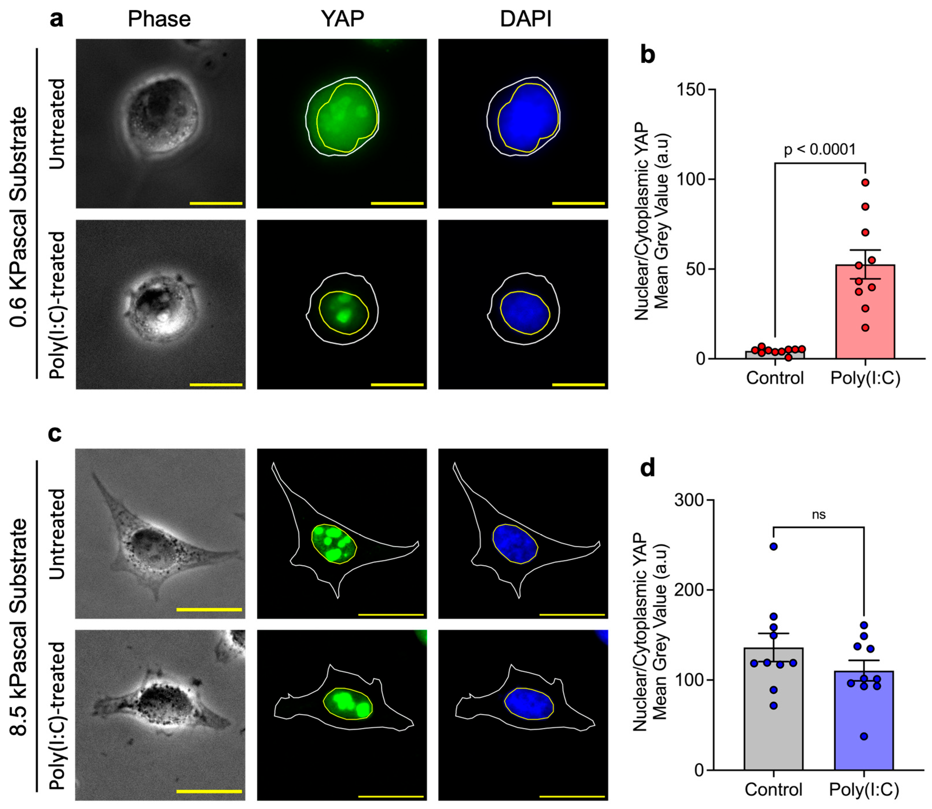 Biophysica 05 00051 g002 Biophysica 05 00051 g002
