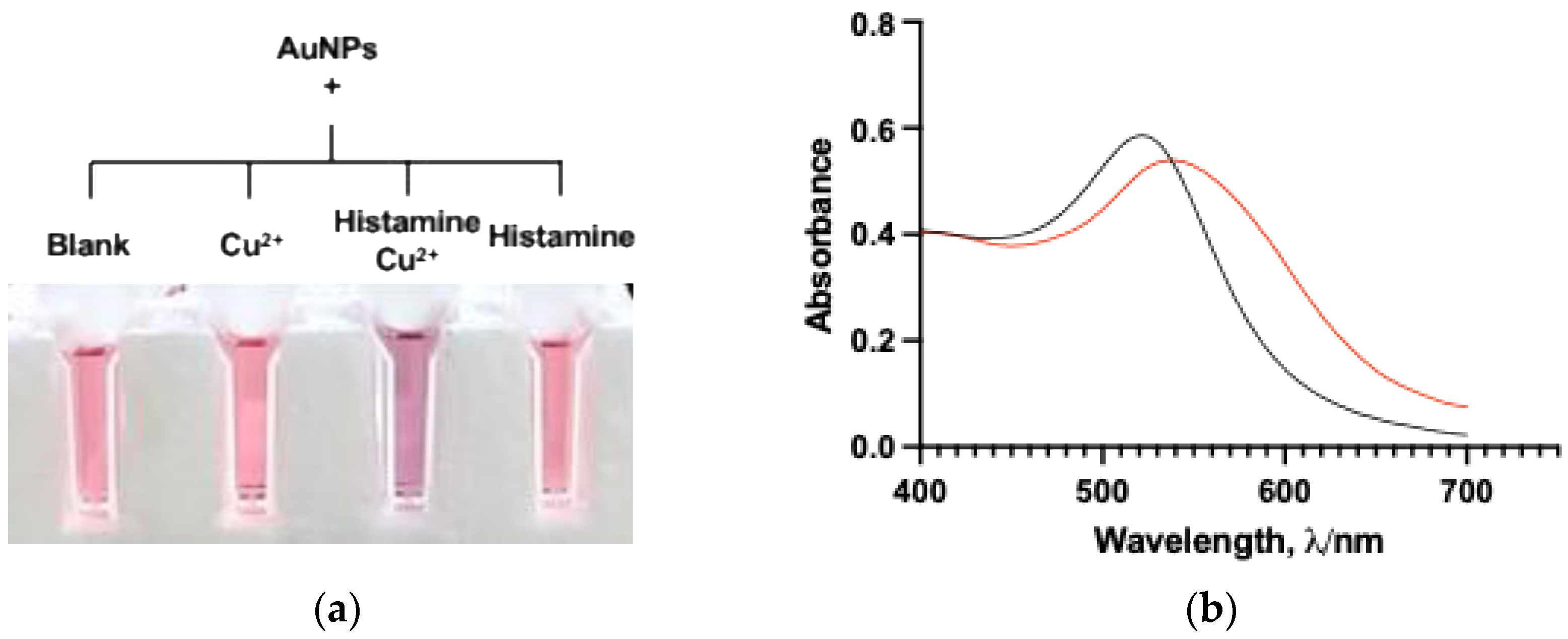 Biophysica 05 00059 g001