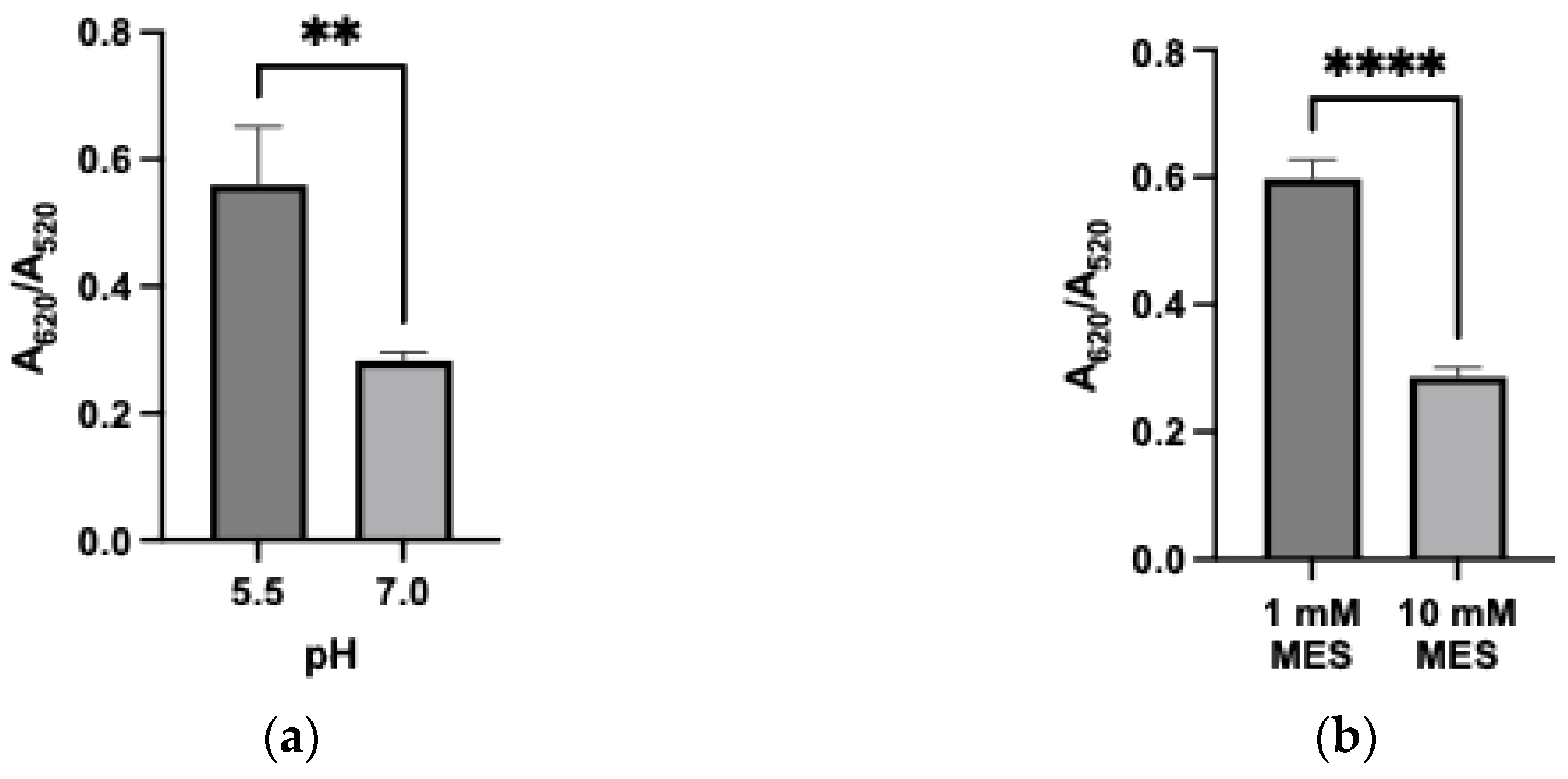Biophysica 05 00059 g004
