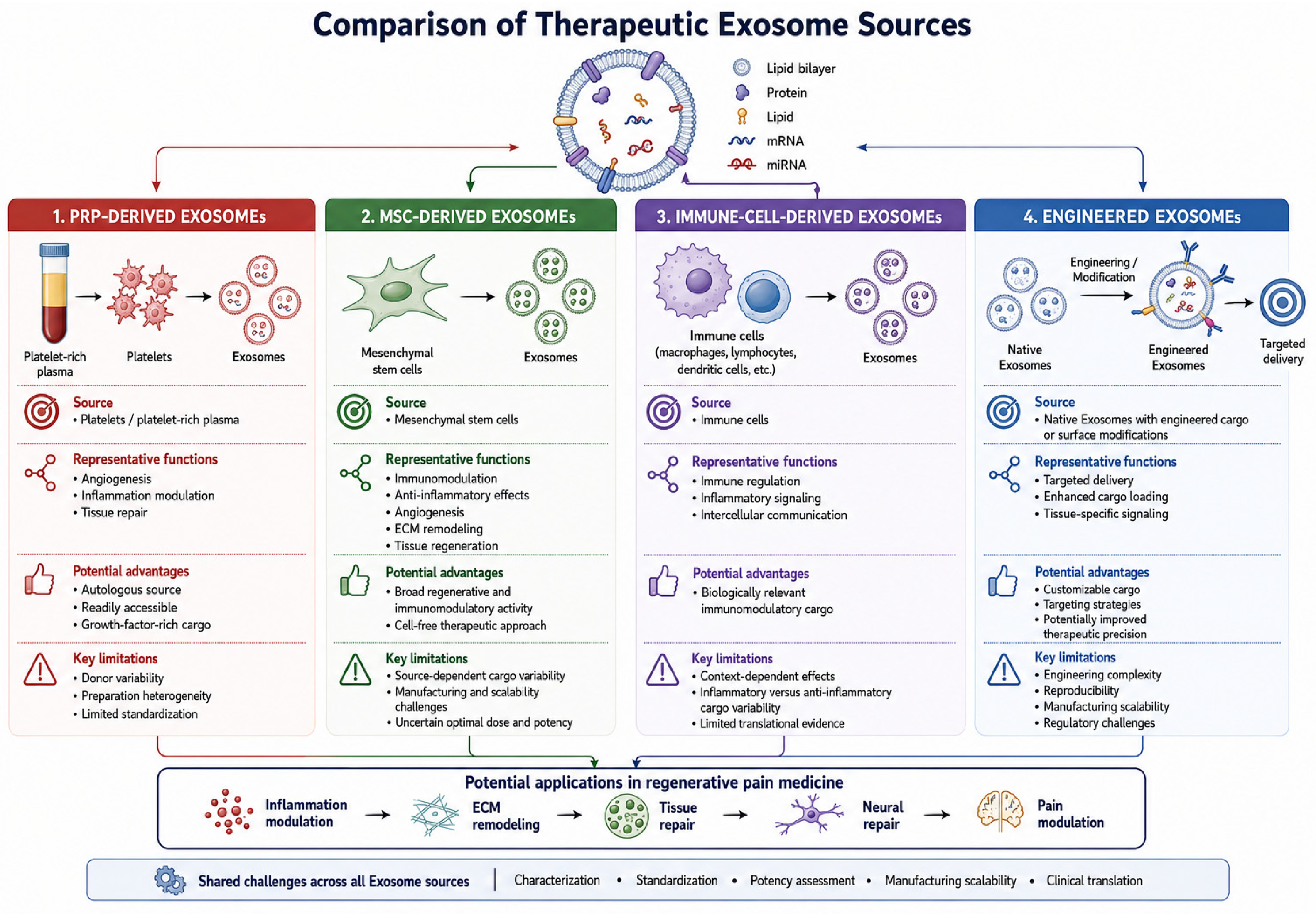 Mechanobiology of Exosome-Mediated Regeneration: Mechanisms
