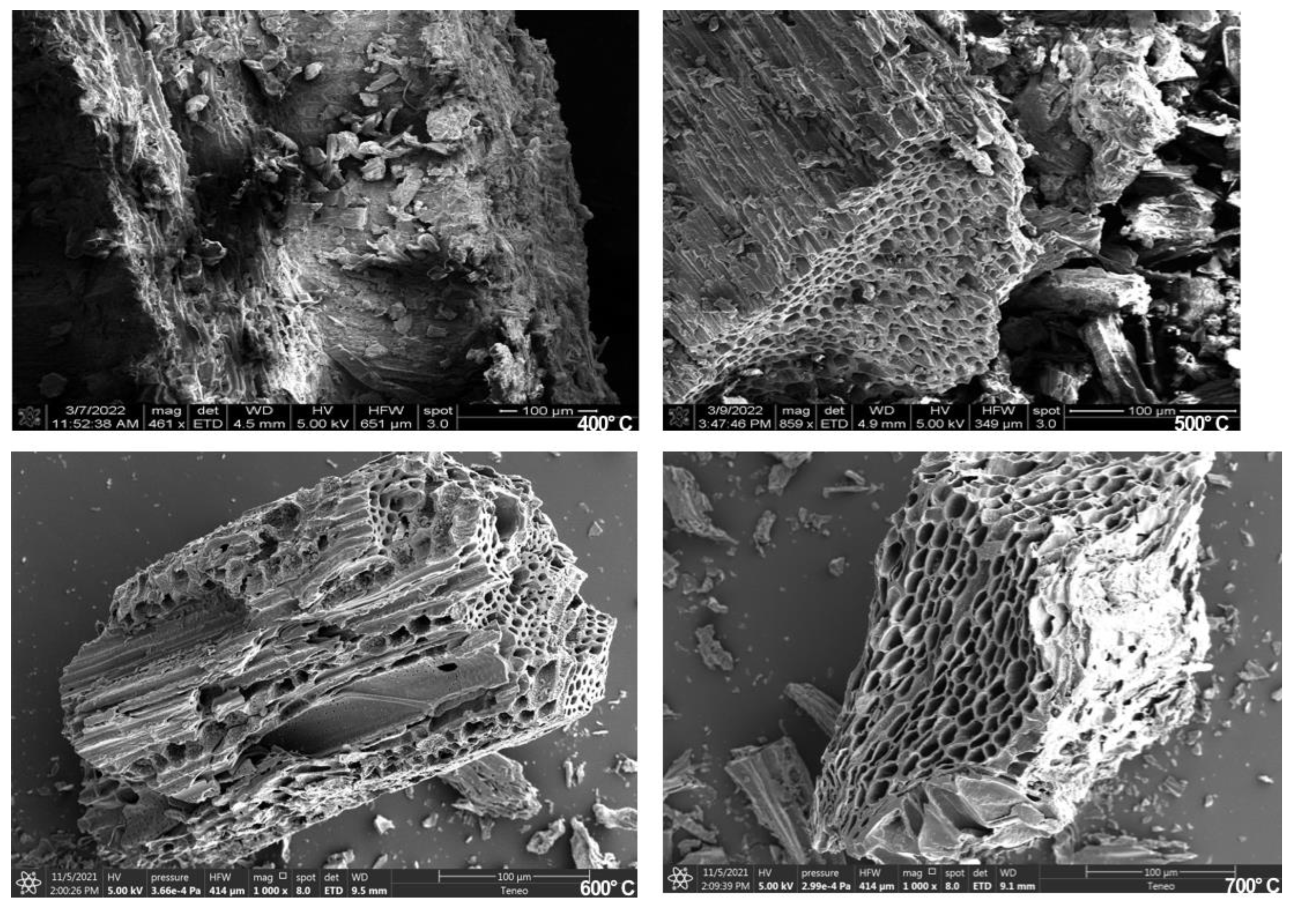 Bioresourbioprod 01 00005 g004 Bioresourbioprod 01 00005 g004