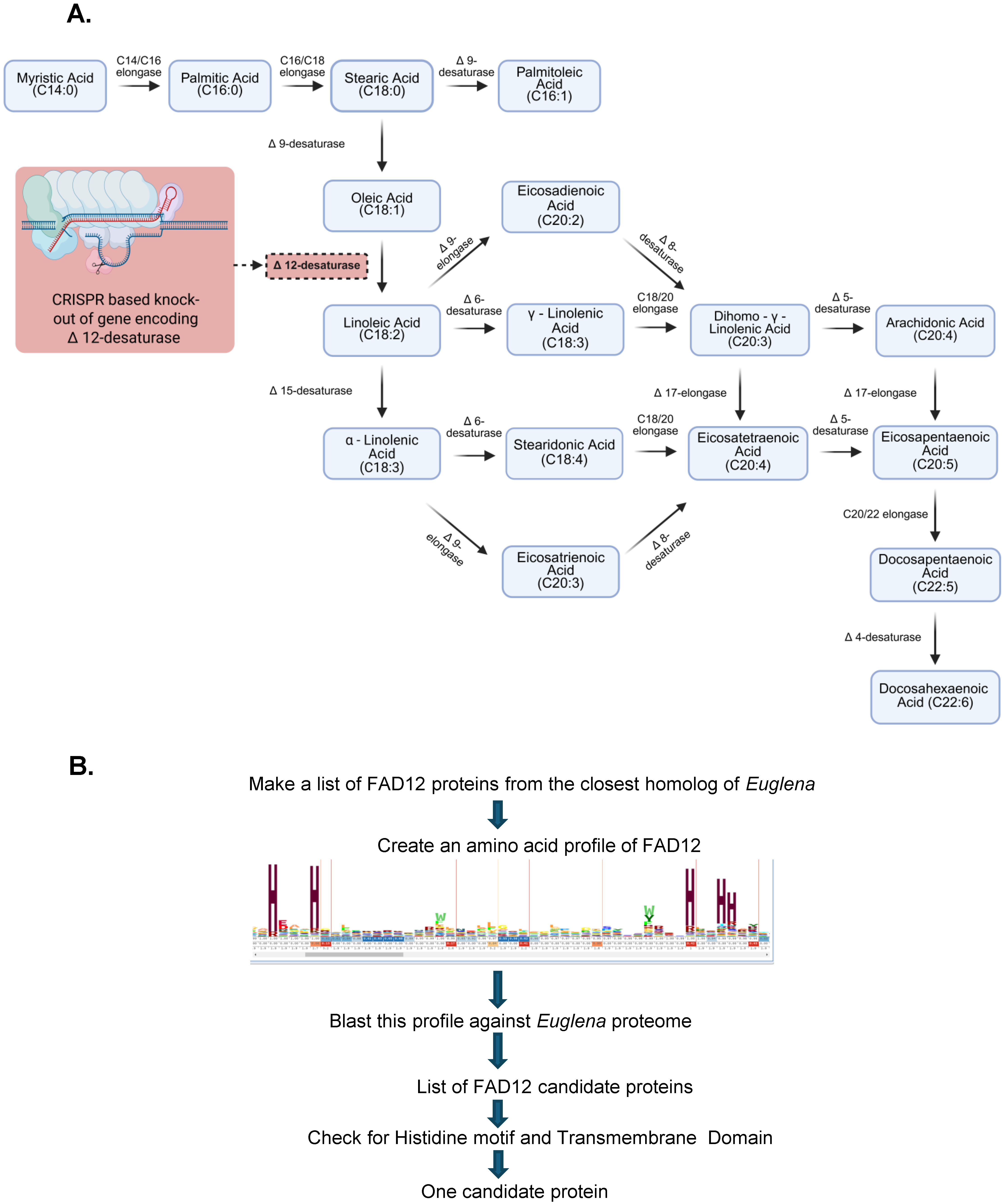 Bioresourbioprod 01 00008 g001