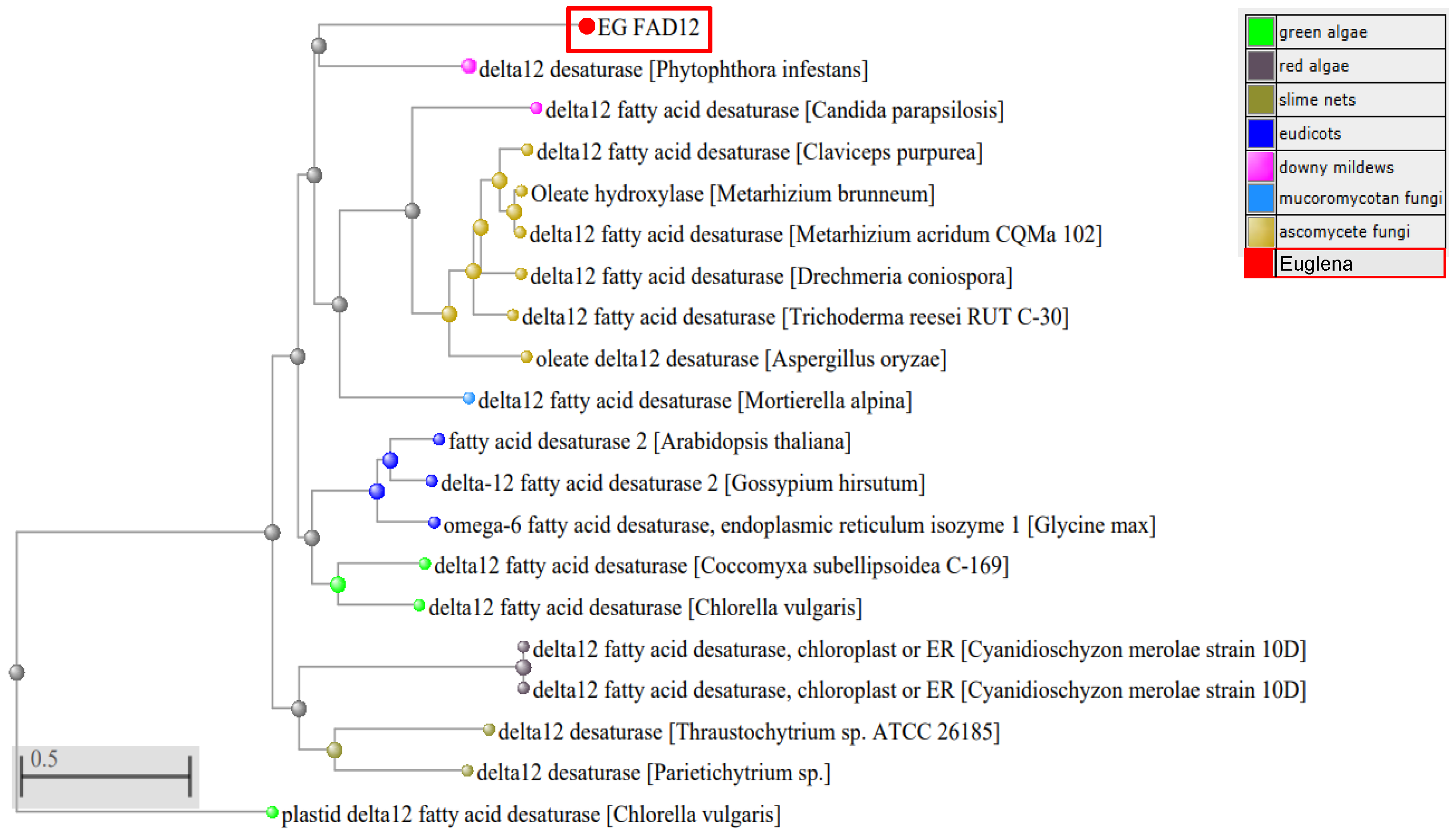 Bioresourbioprod 01 00008 g003