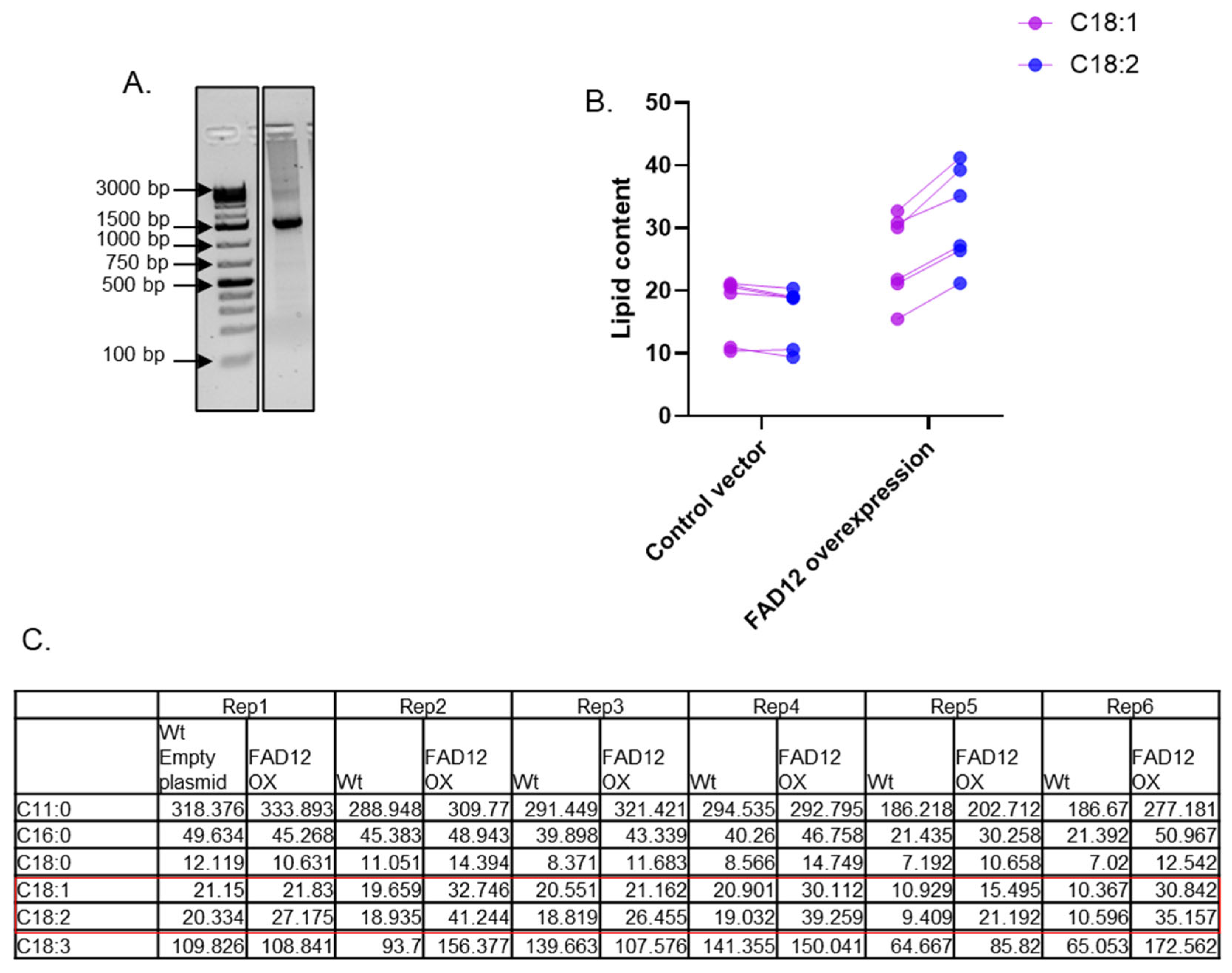 Bioresourbioprod 01 00008 g004