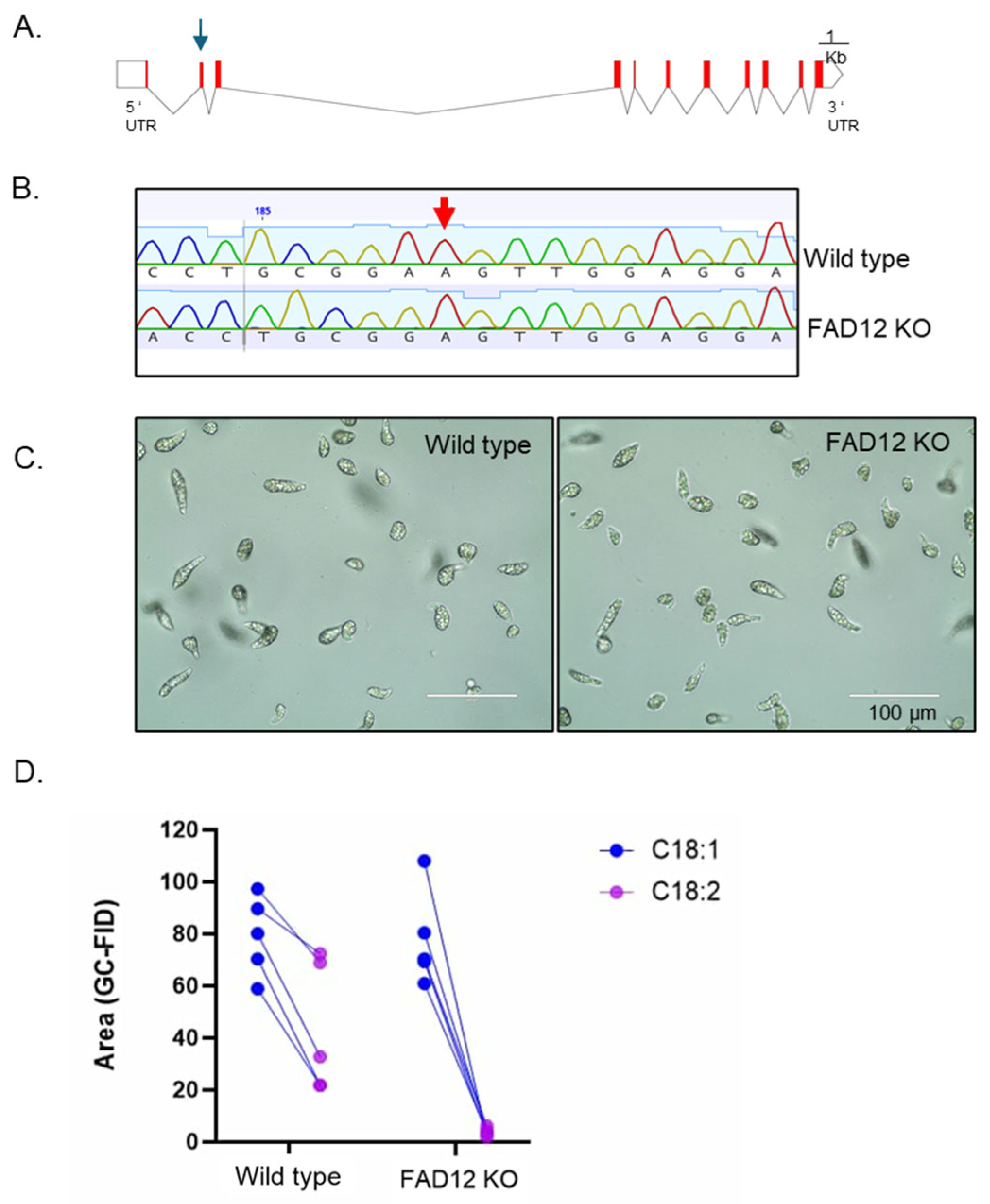 Bioresourbioprod 01 00008 g005