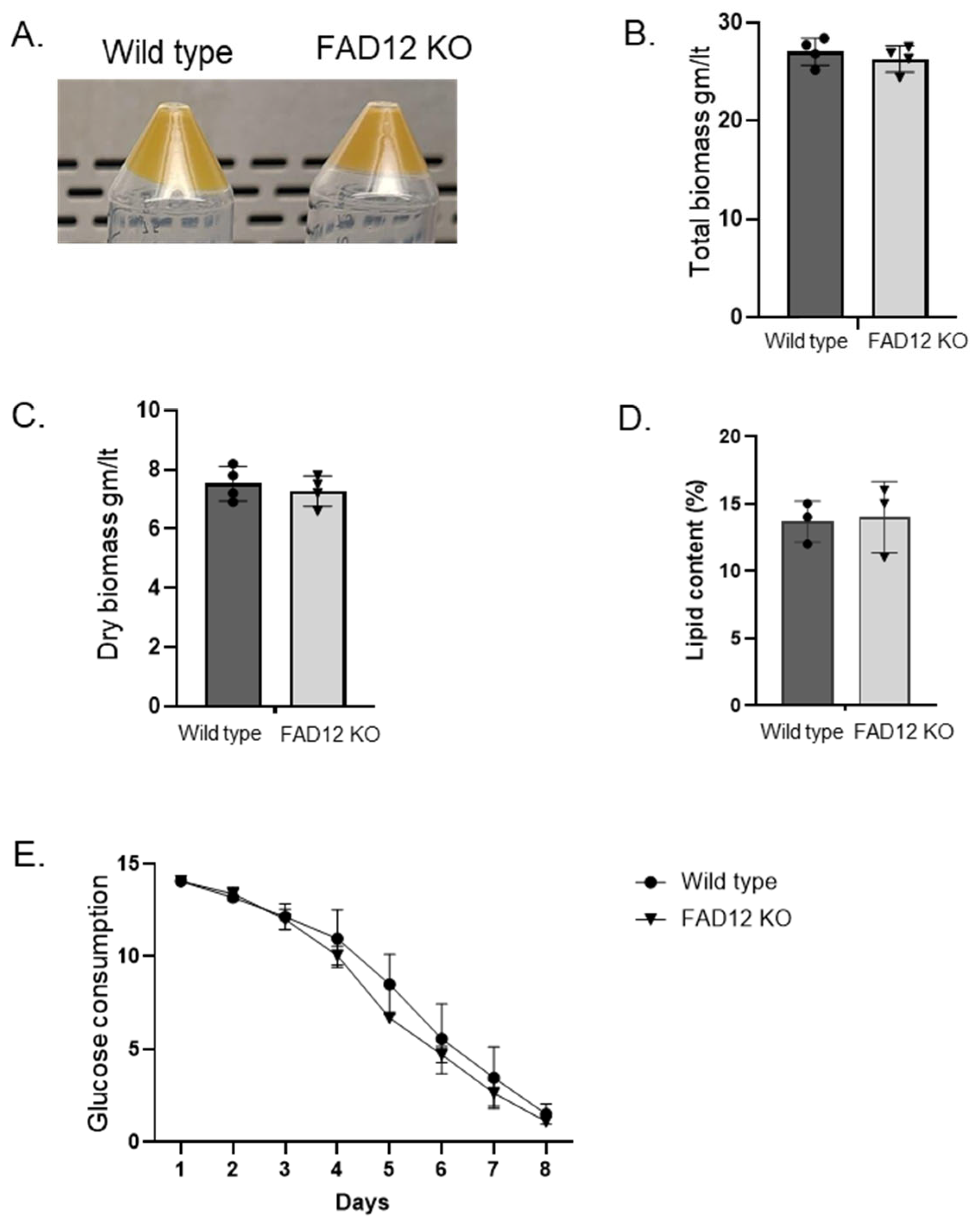 Bioresourbioprod 01 00008 g006