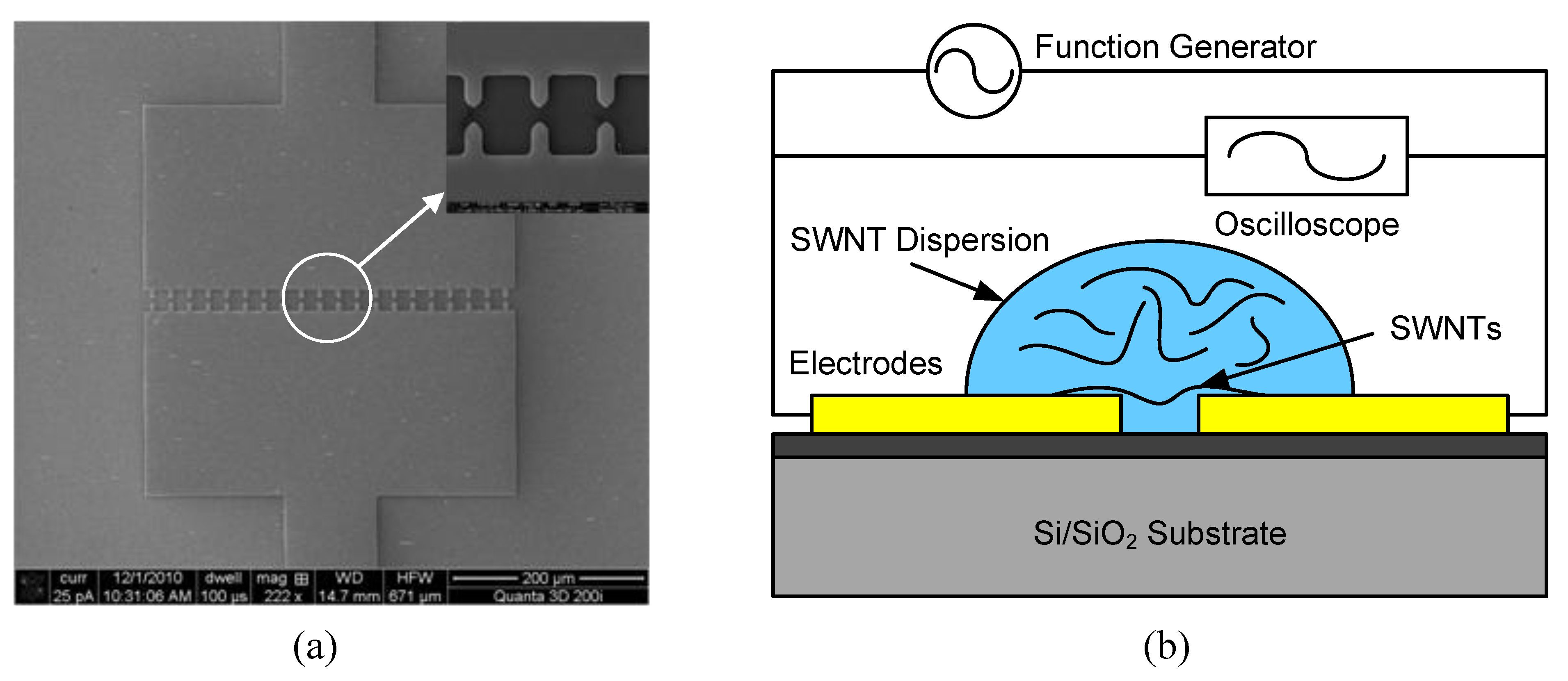 Biosensors 01 00023 g002 1024