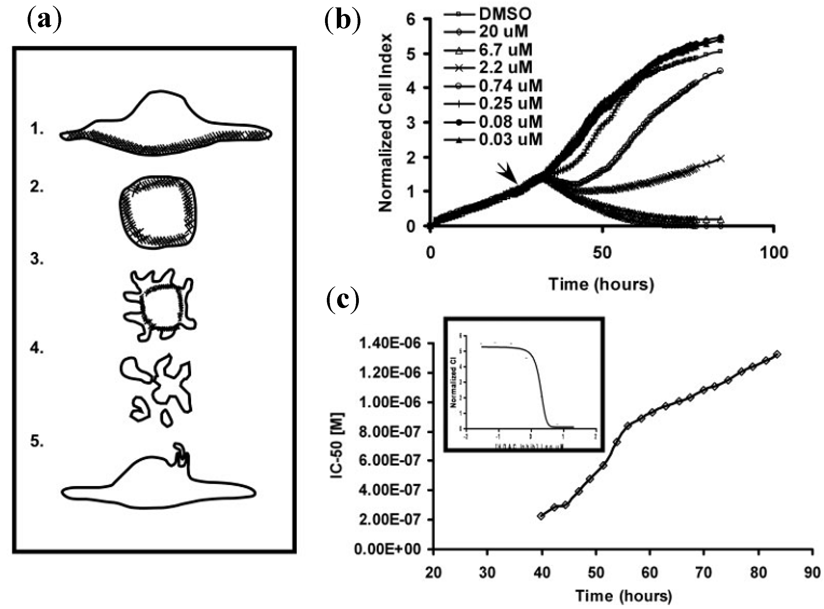 Biosensors 02 00127 g021