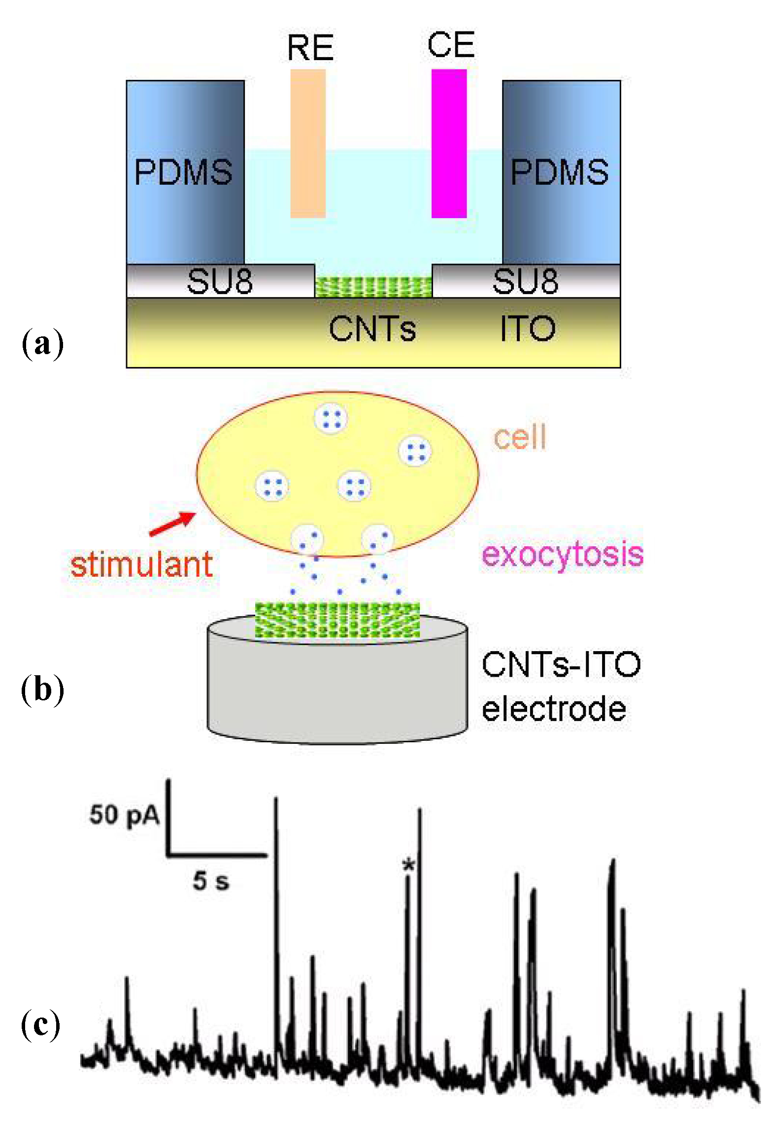 Biosensors 02 00127 g027