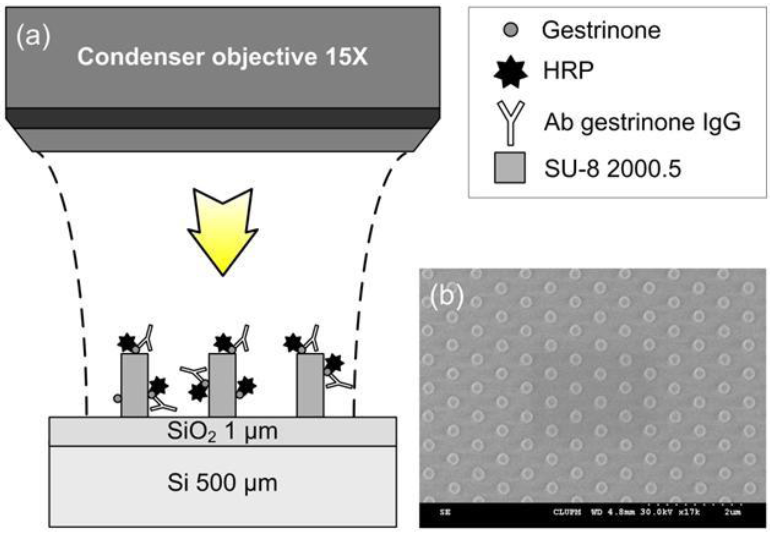 Biosensors 02 00291 g001 1024
