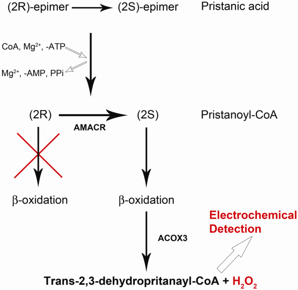 Biosensors 02 00377 g001