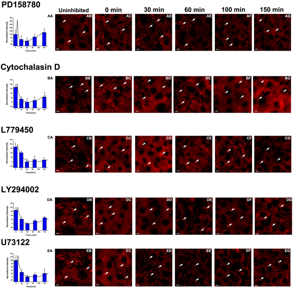 Biosensors 02 00448 g003