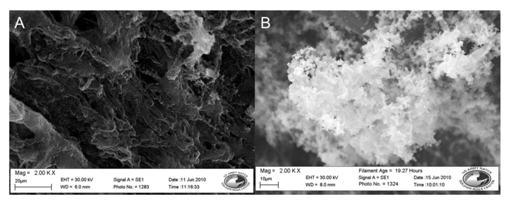 Biosensors 02 00465 g002