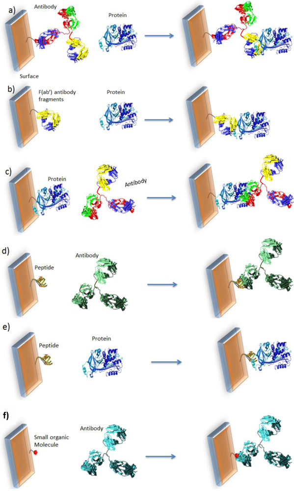 Biosensors 03 00058 g002