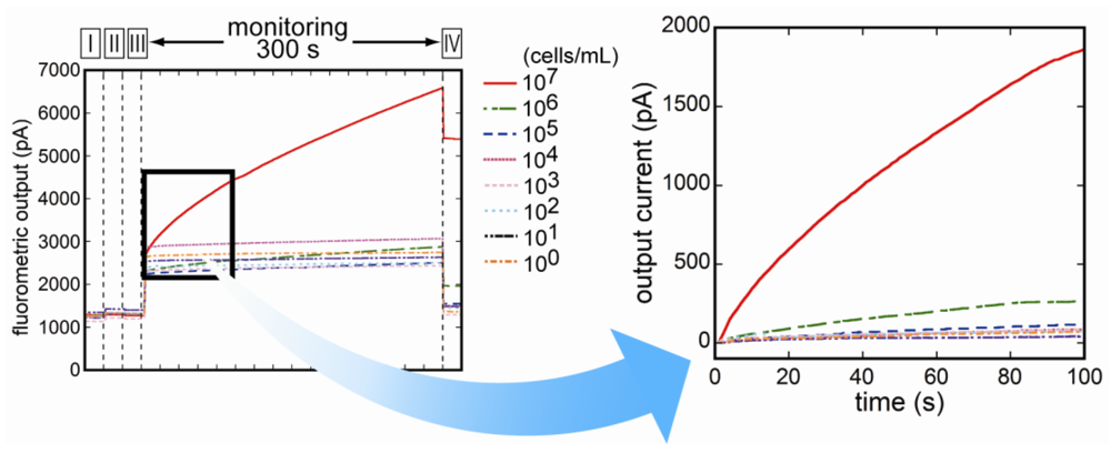 Biosensors 03 00120 g006