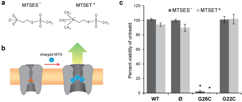Biosensors 03 00171 g002