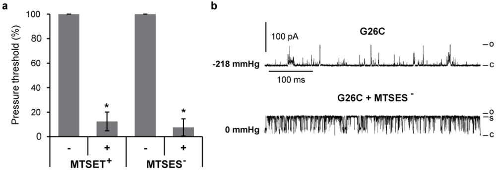 Biosensors 03 00171 g003