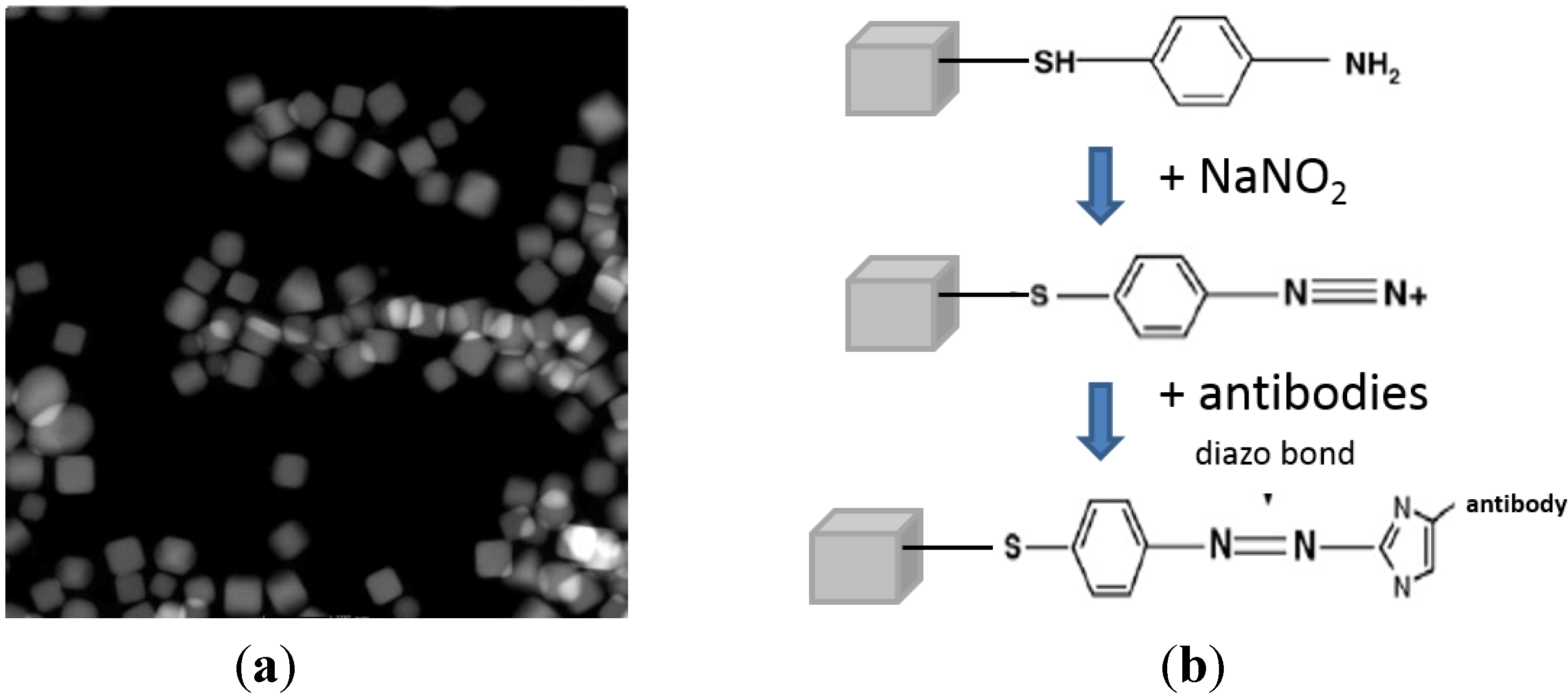 biosensors free full text