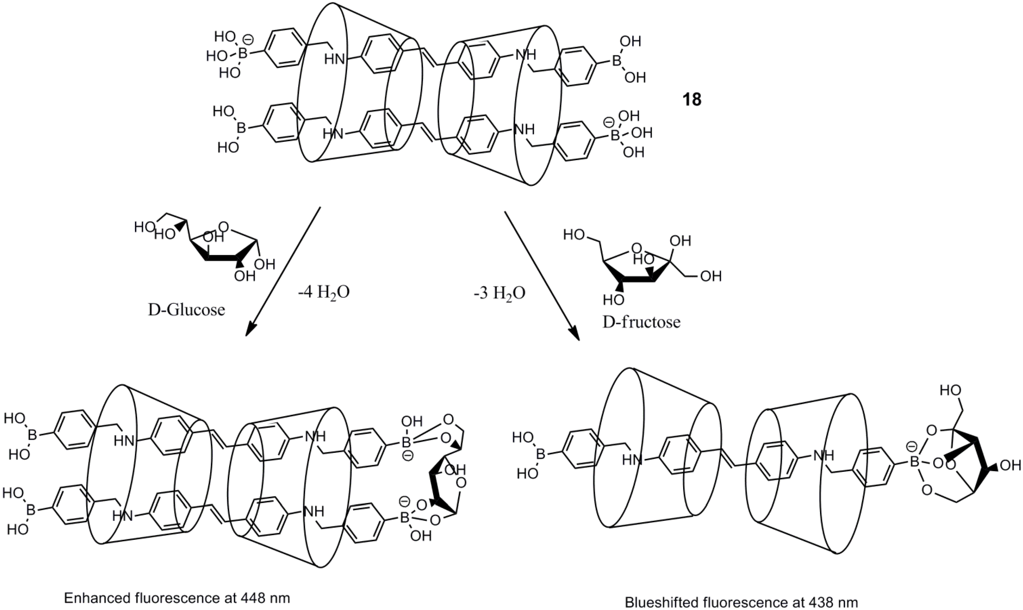 Biosensors 03 00400 g015