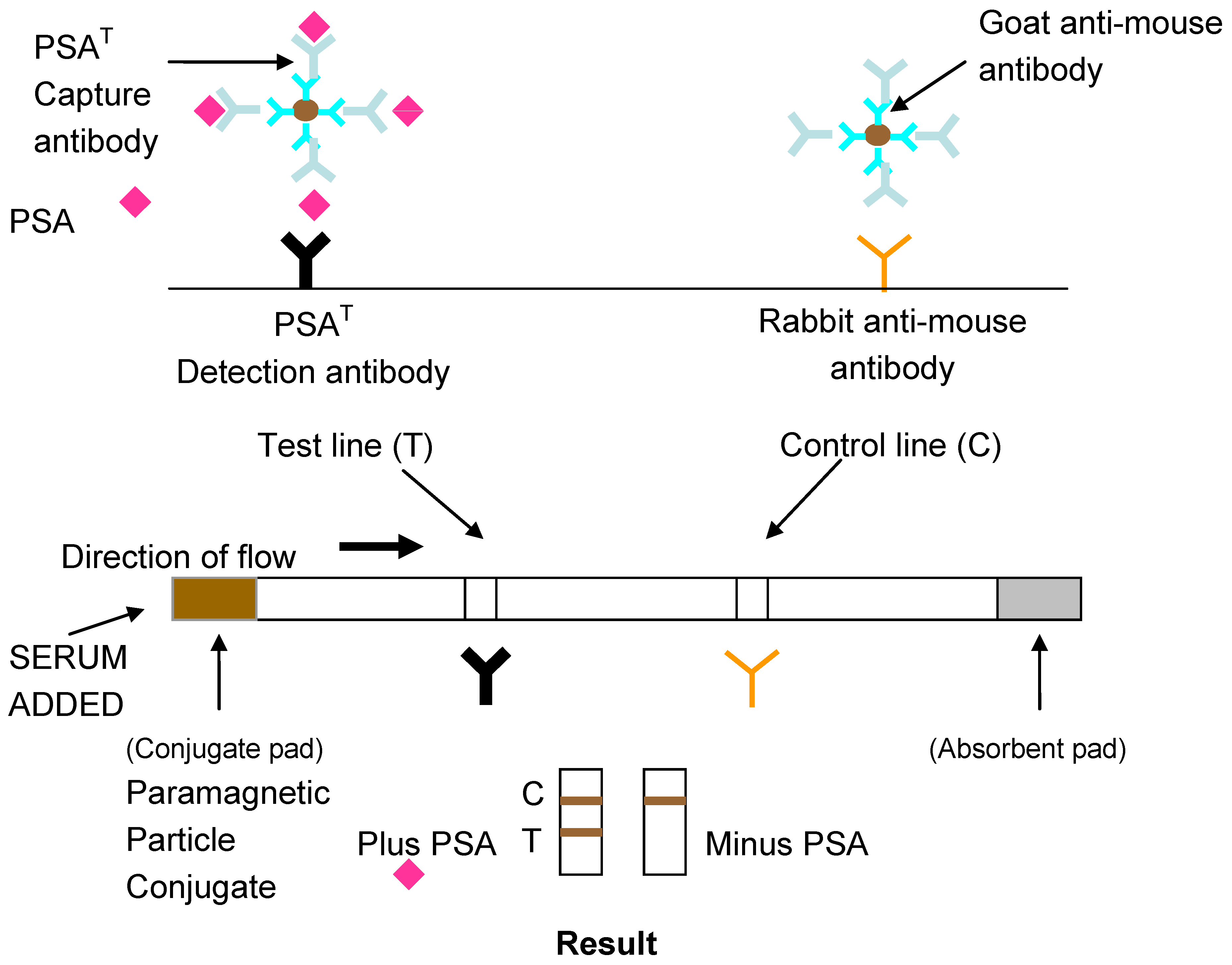 Biosensors 04 00204 g002 550