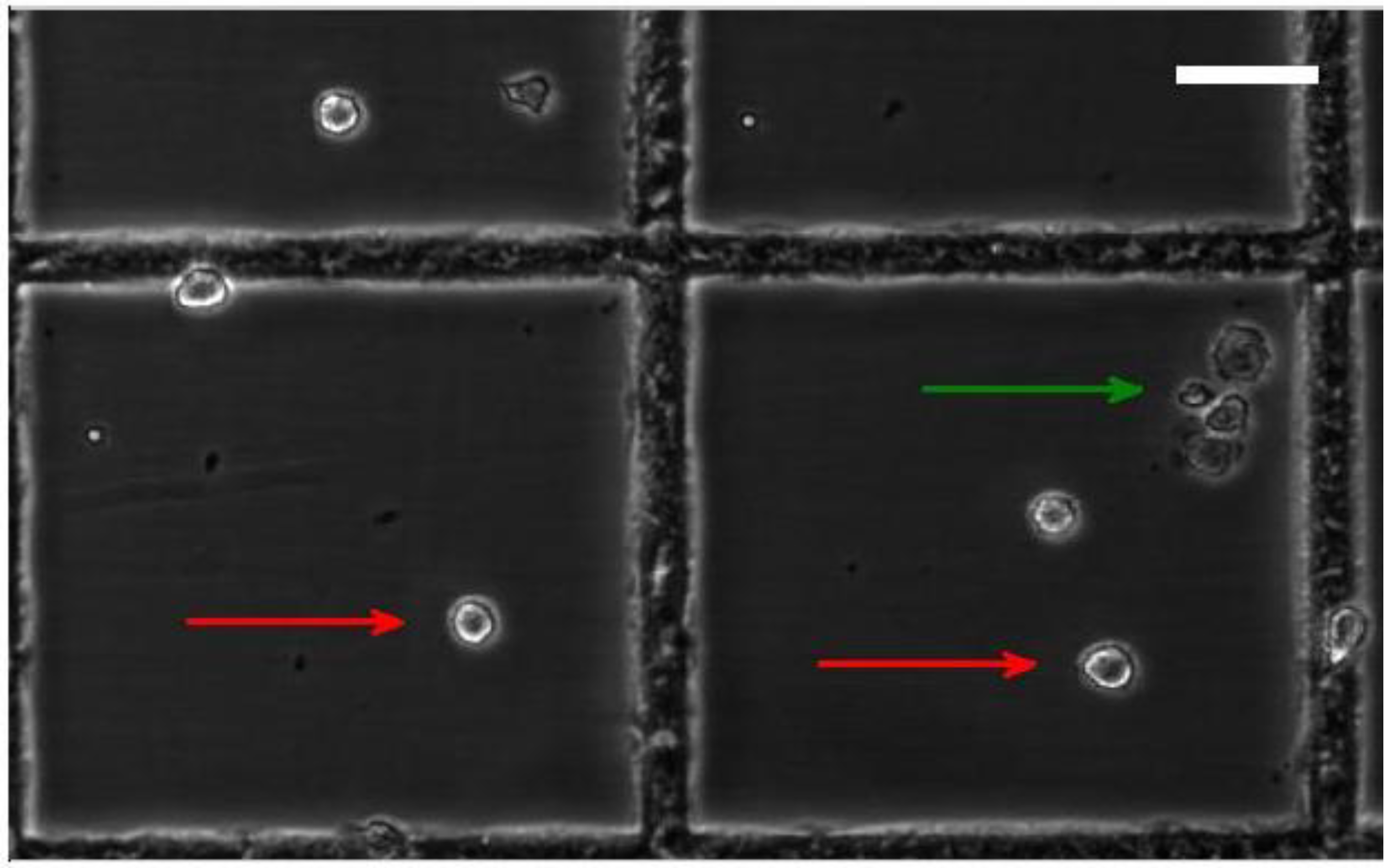 Biosensors 04 00257 g006