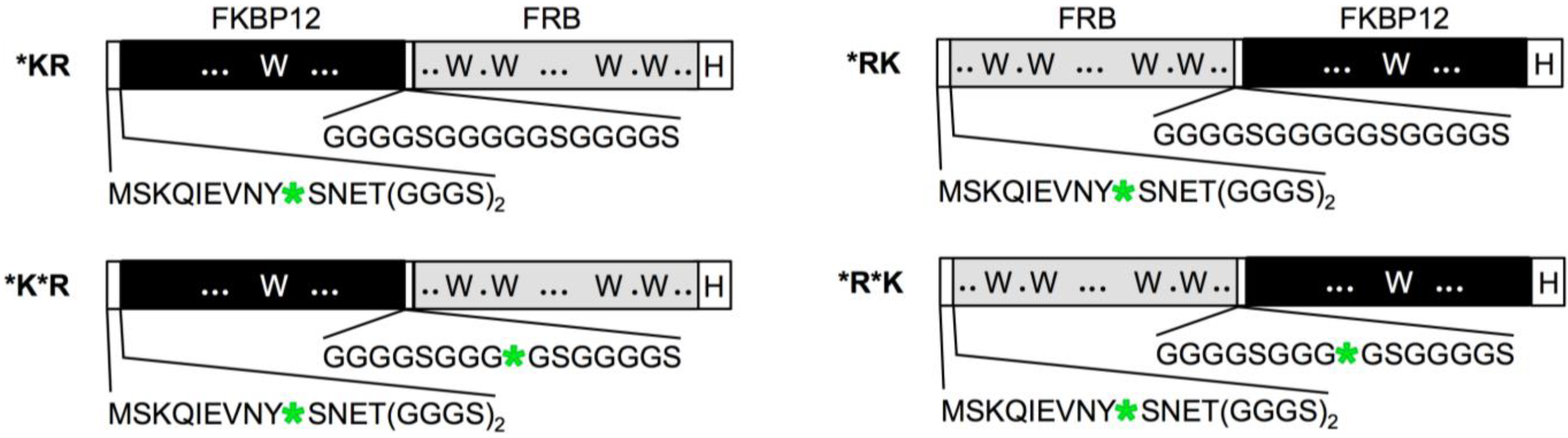 Biosensors 05 00131 g002 1024